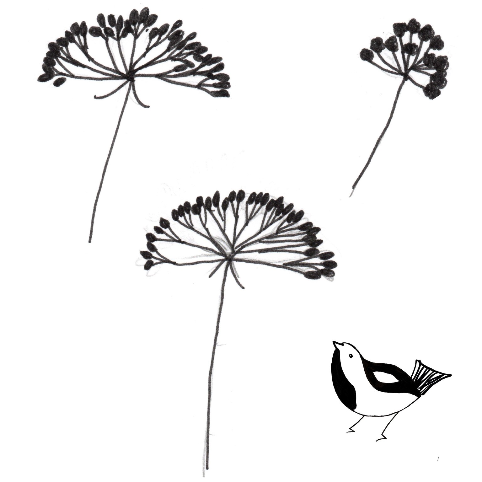 The bird and the dandelions - image 1 - student project