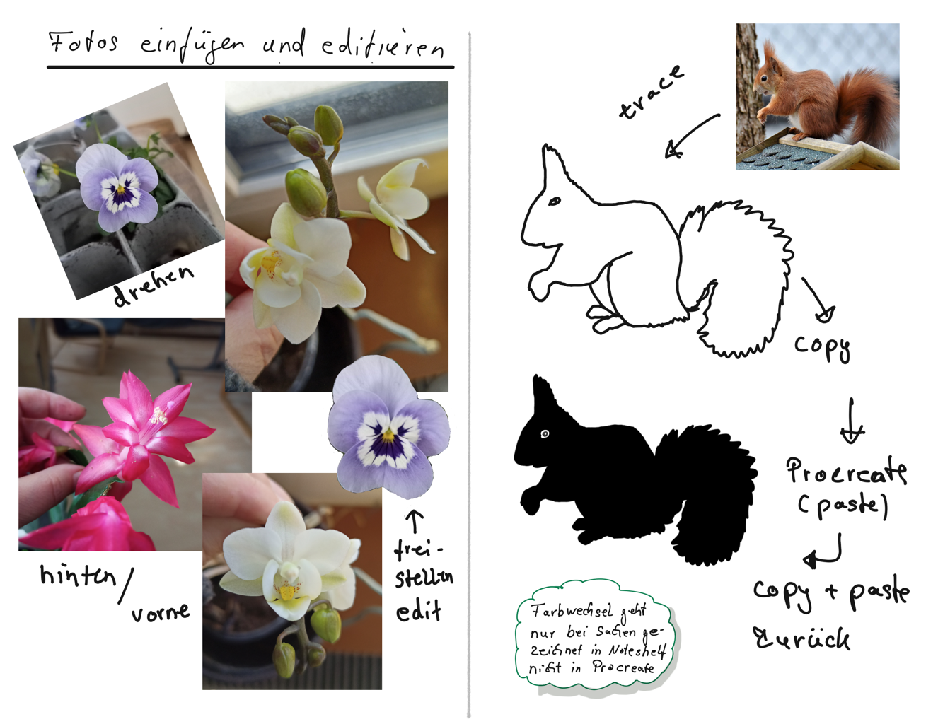 Echtes digitales Sketchbook - image 1 - student project
