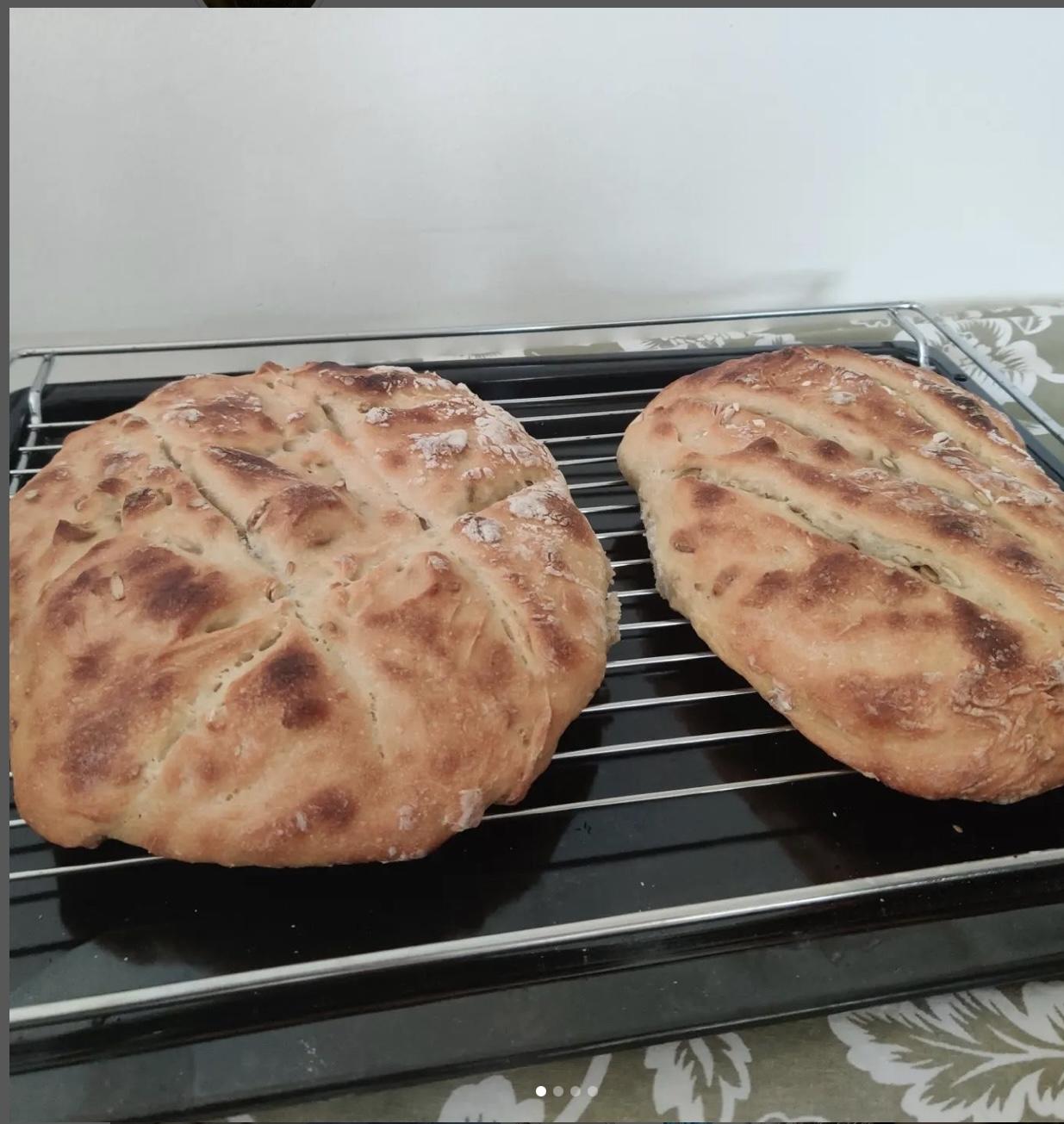 Sourdough bread - image 1 - student project