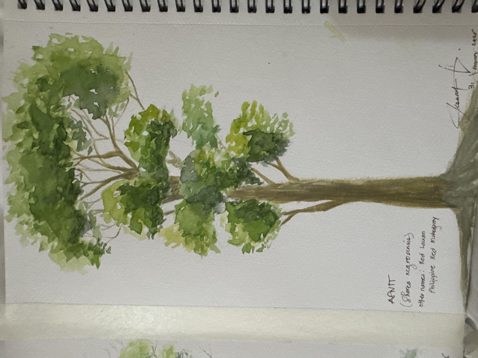 Trees - image 4 - student project
