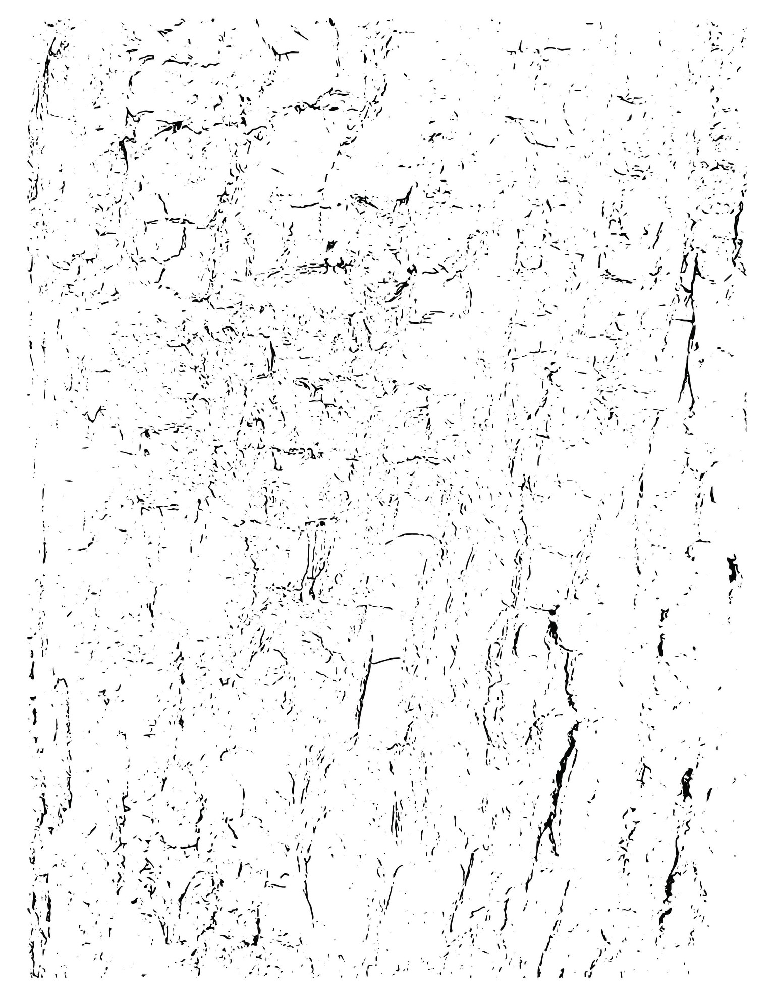 Tree Bark - image 1 - student project