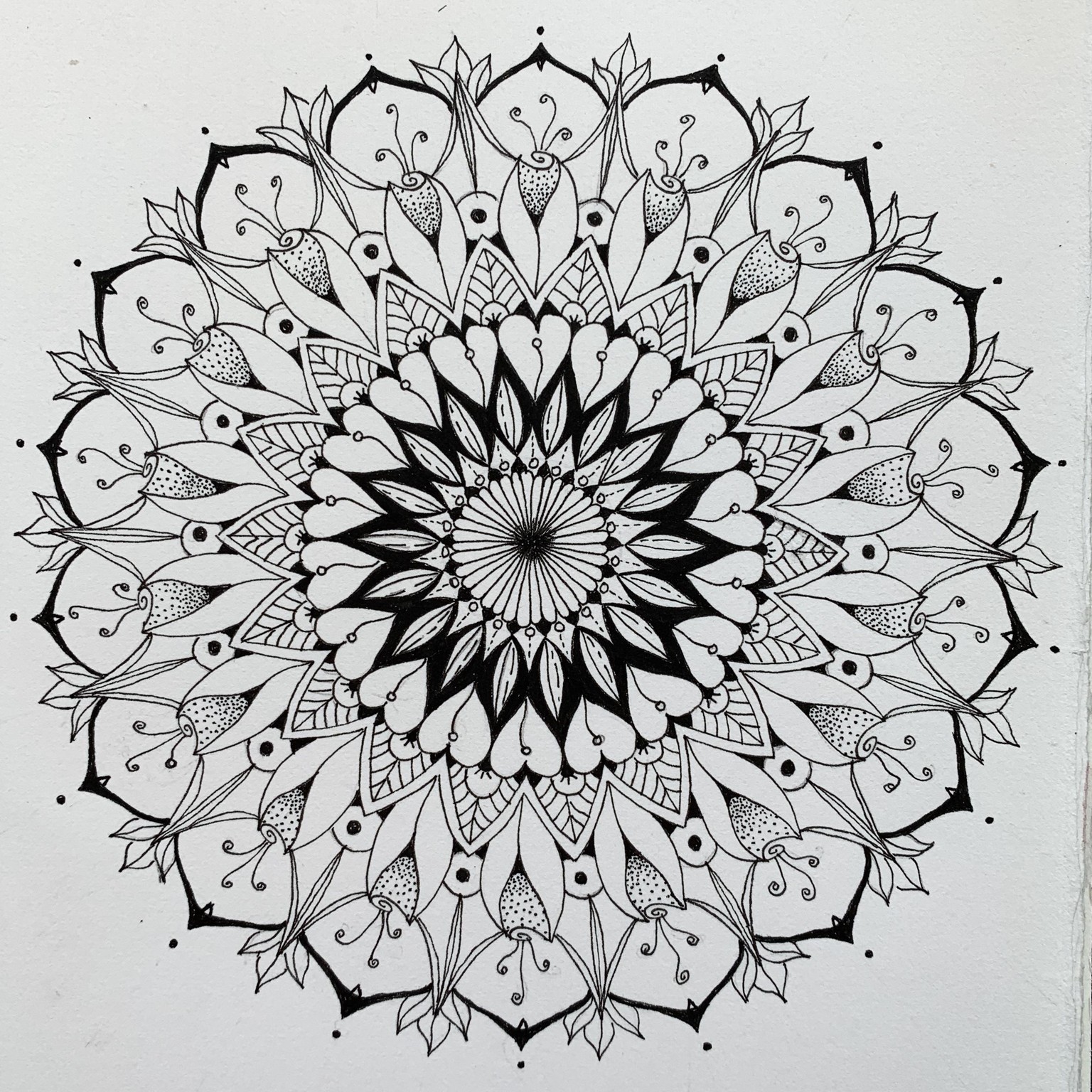 Botanical Mandala - image 5 - student project