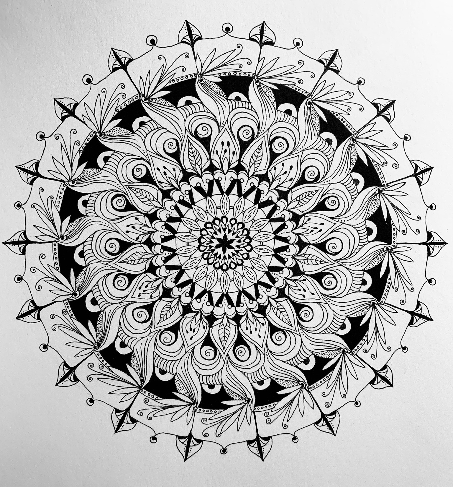 Botanical Mandala - image 3 - student project