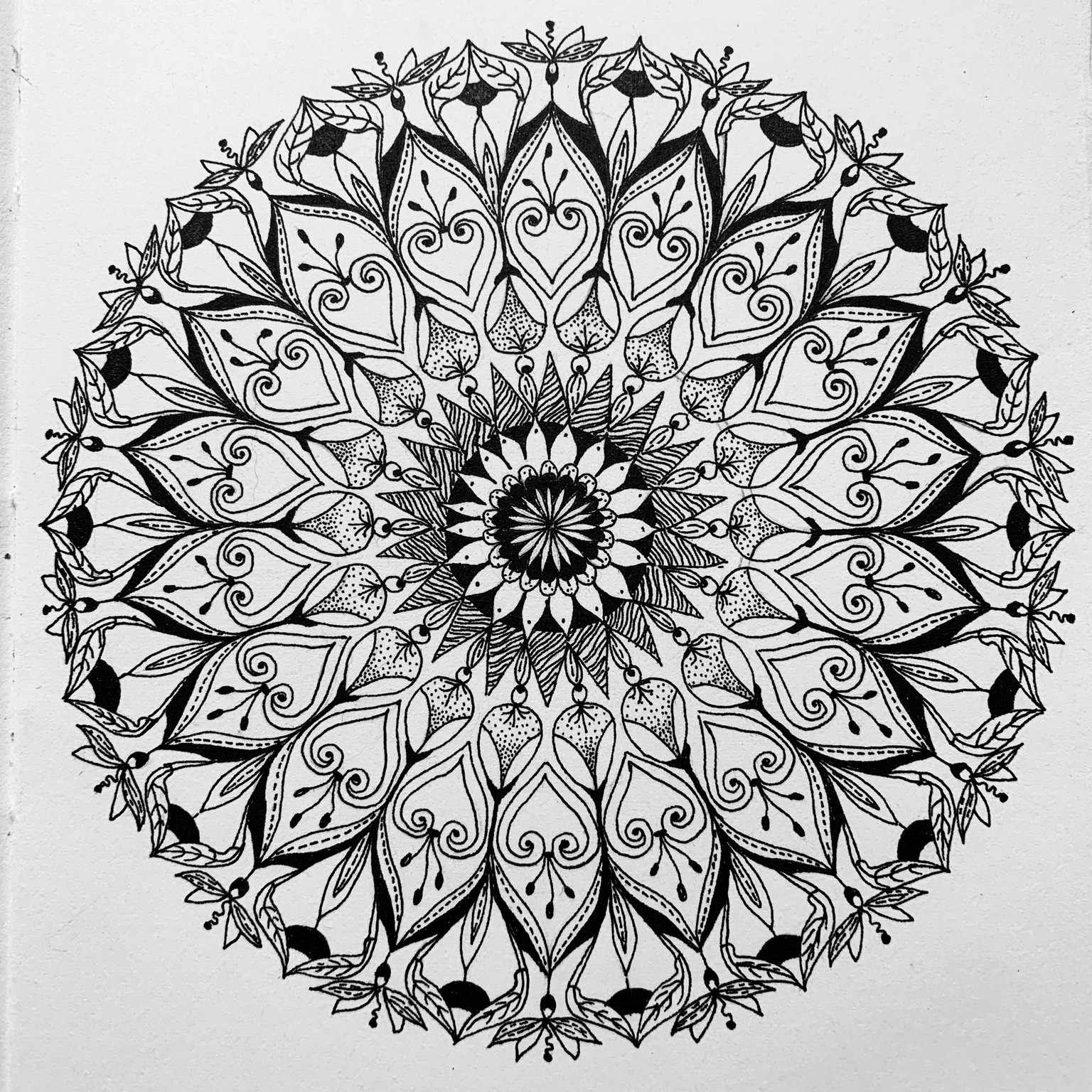Botanical Mandala - image 2 - student project