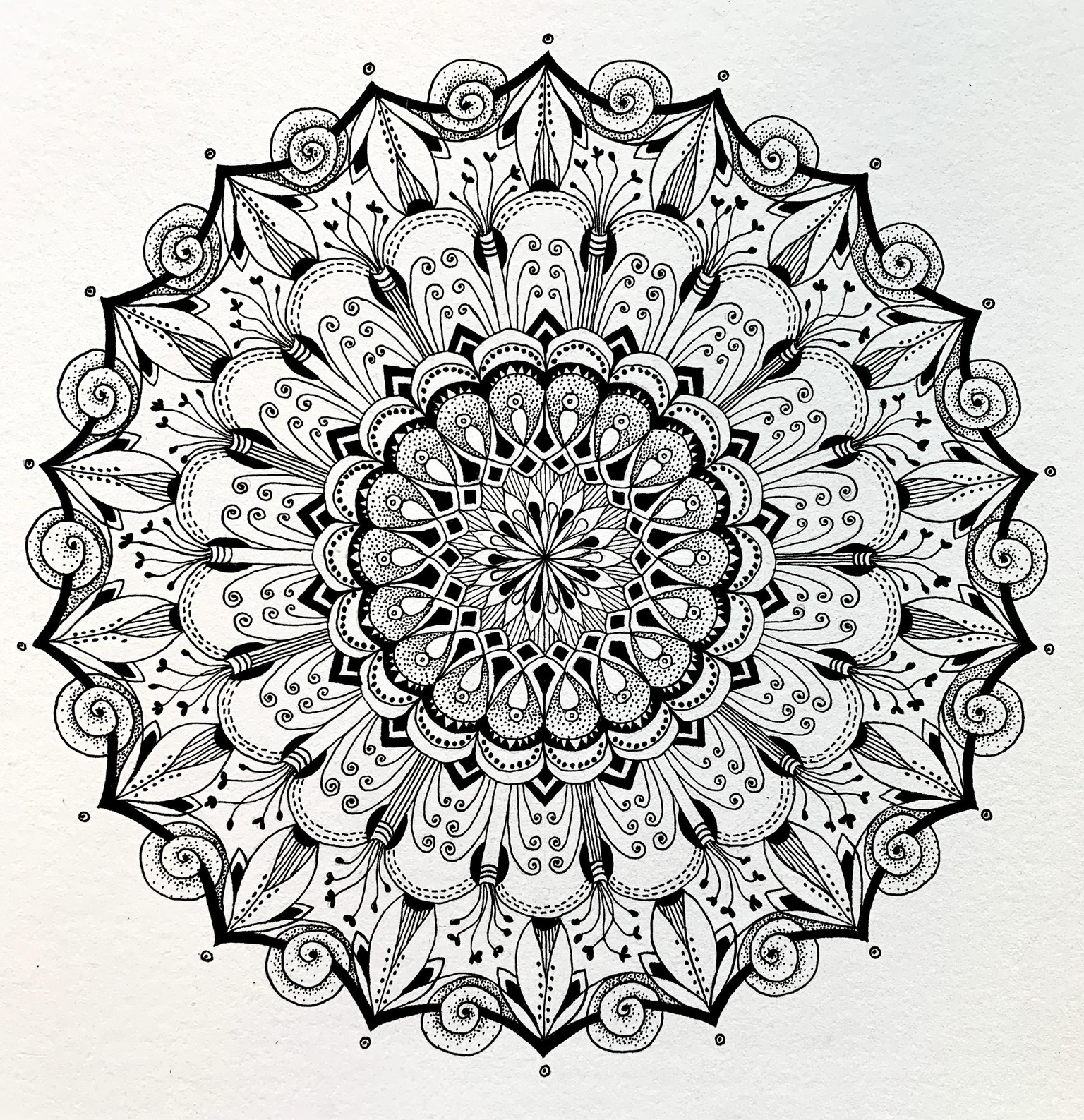 Botanical Mandala - image 1 - student project