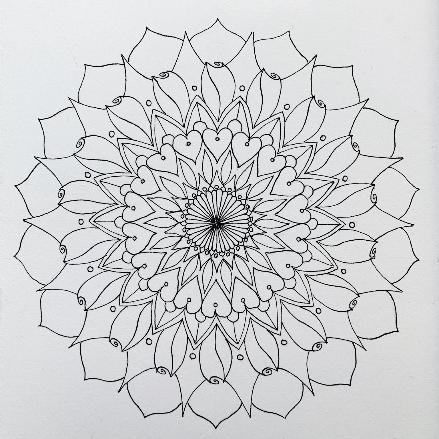 Botanical Mandala - image 4 - student project