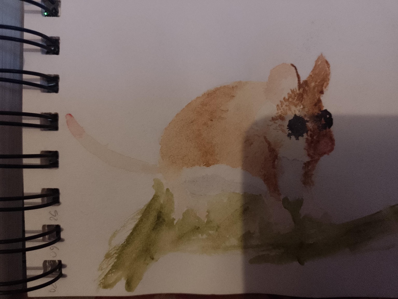 animals drawing - image 5 - student project