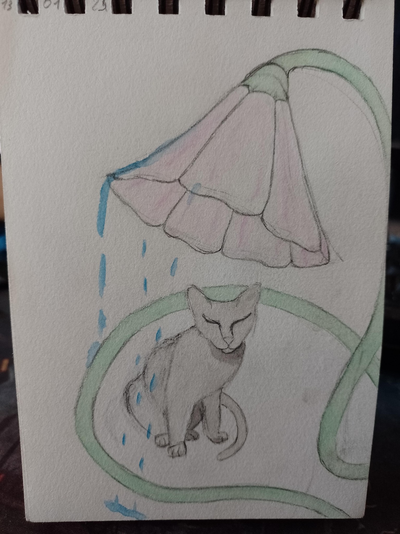 flowers and cat - image 1 - student project