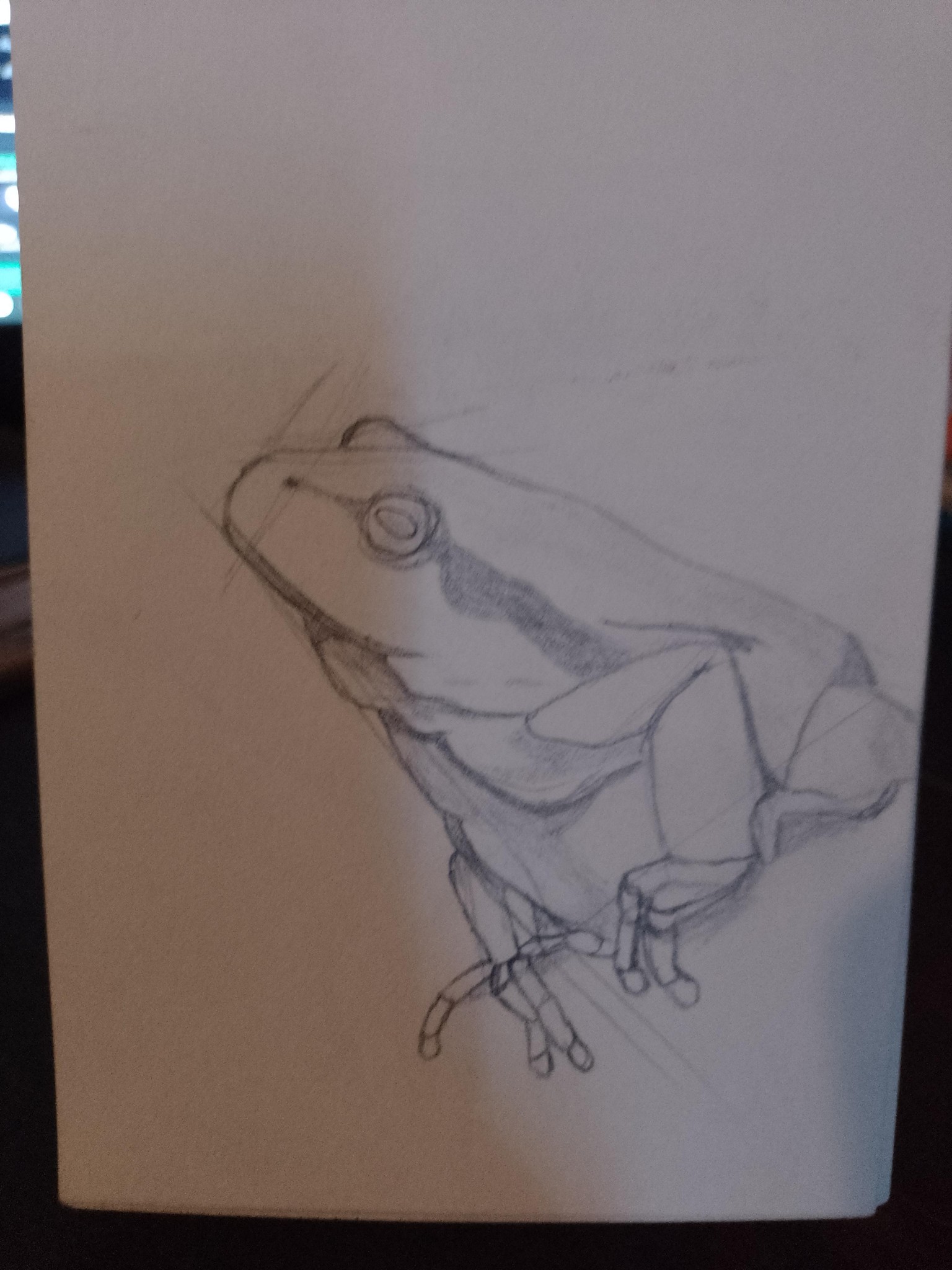 animals drawing - image 3 - student project