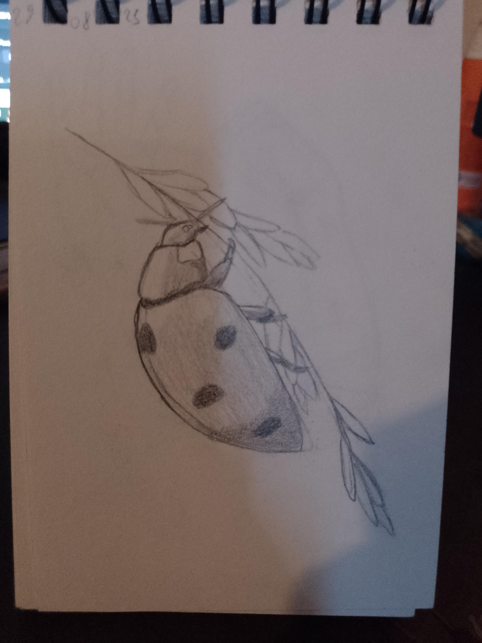 animals drawing - image 2 - student project