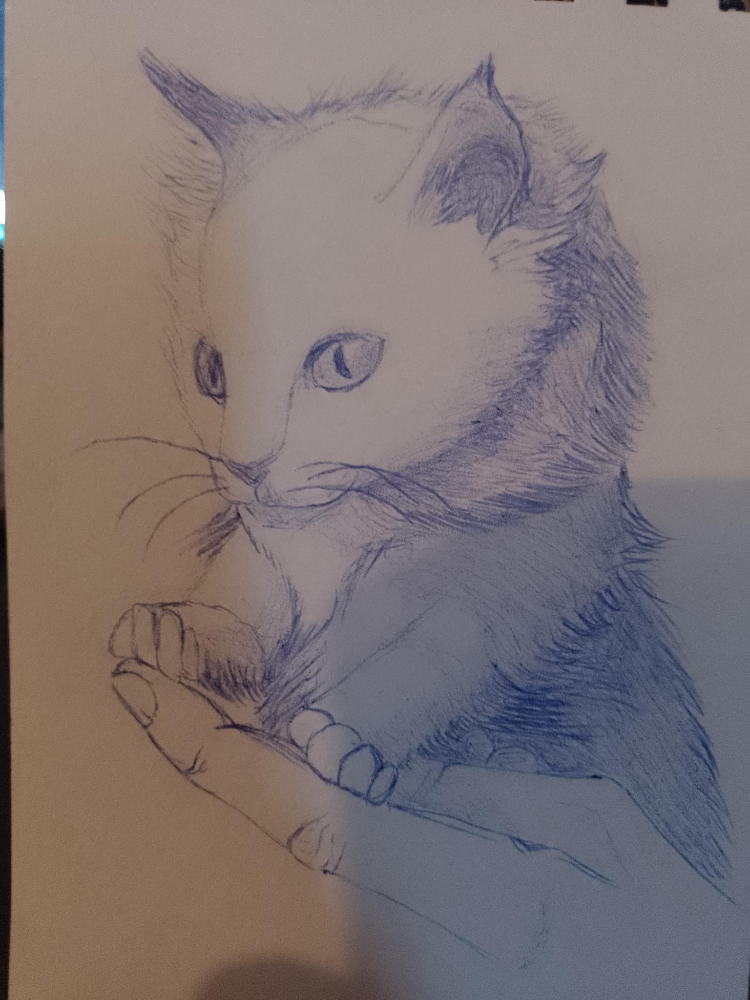 animals drawing - image 7 - student project