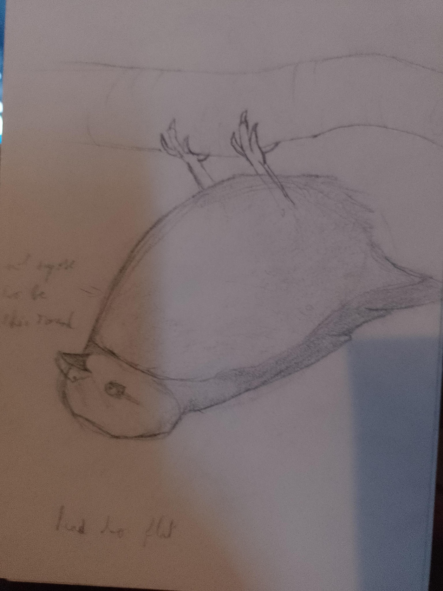 animals drawing - image 4 - student project
