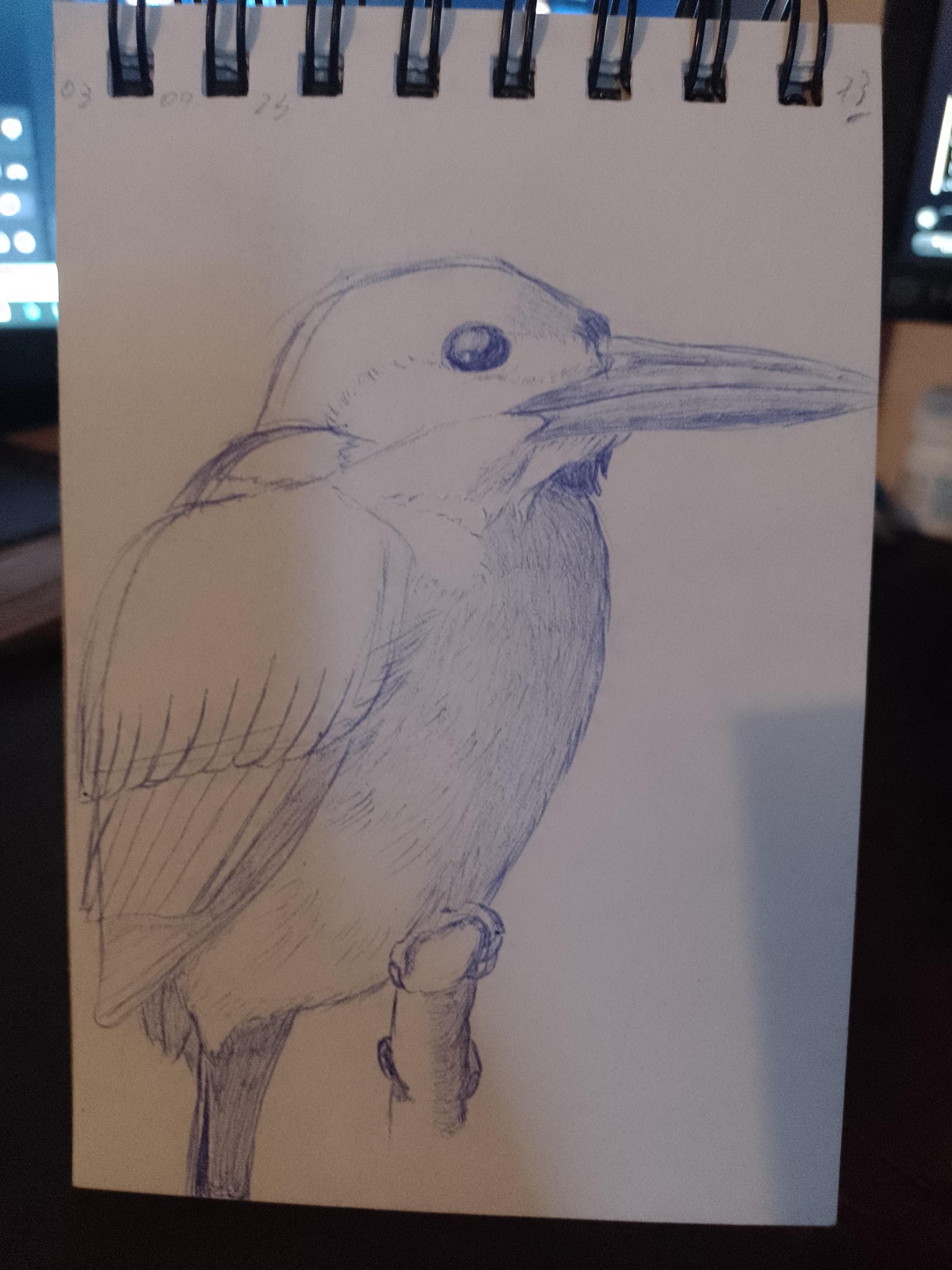 animals drawing - image 6 - student project