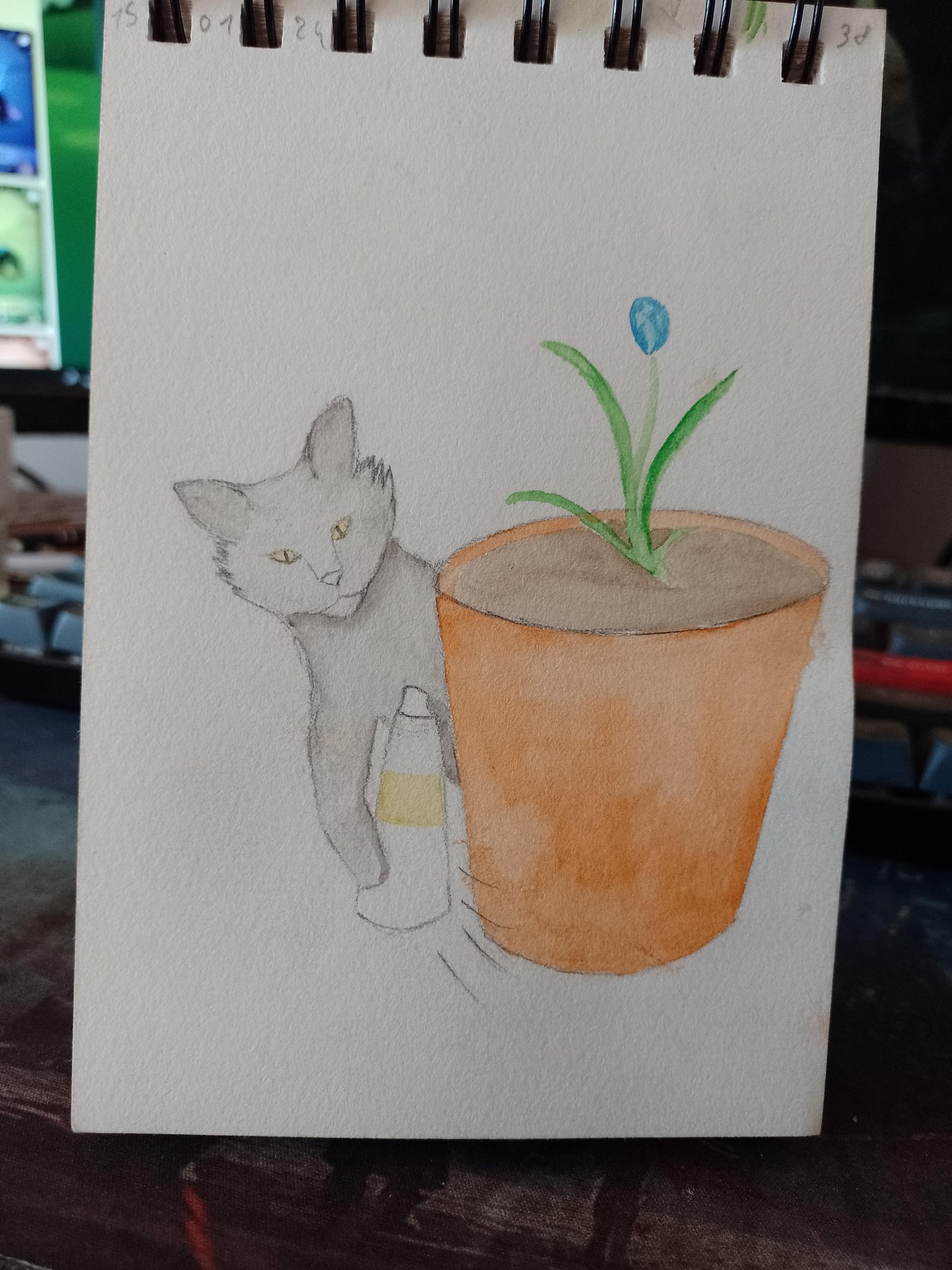 flowers and cat - image 3 - student project