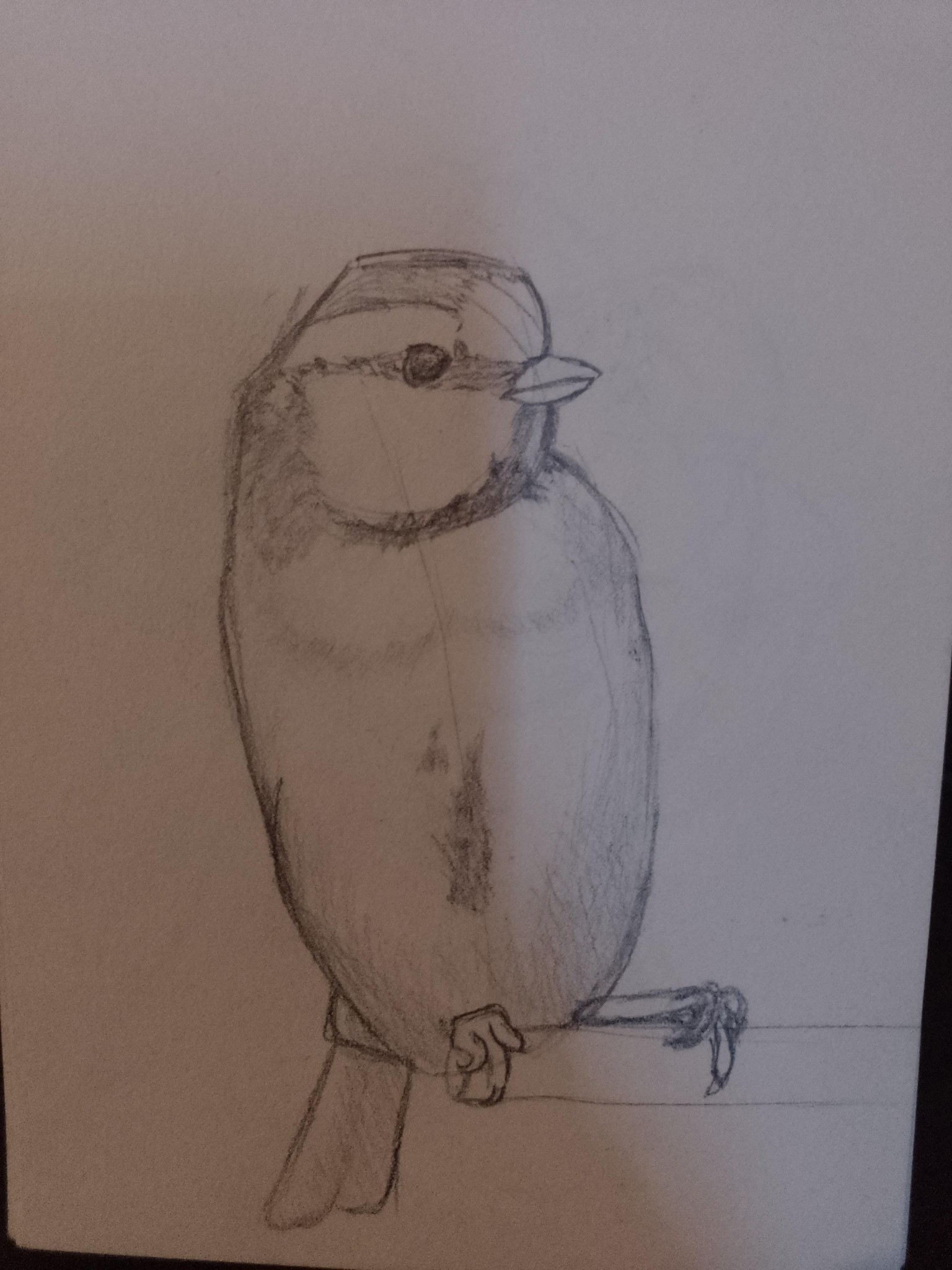 animals drawing - image 1 - student project