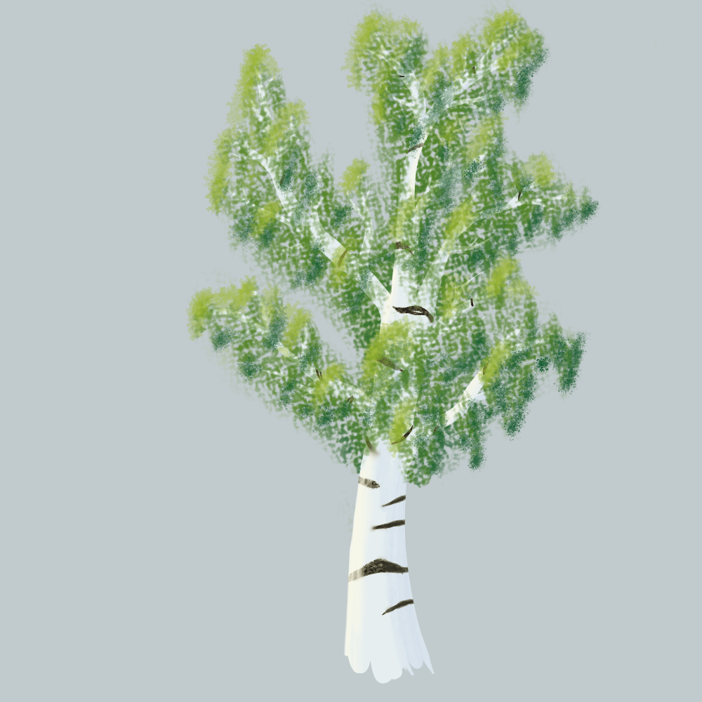 krita exercices - image 1 - student project