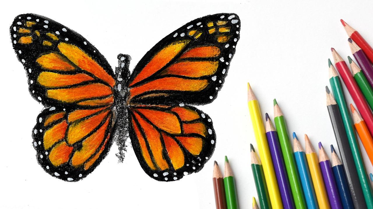 Watercolor pencils - butterfly - image 3 - student project
