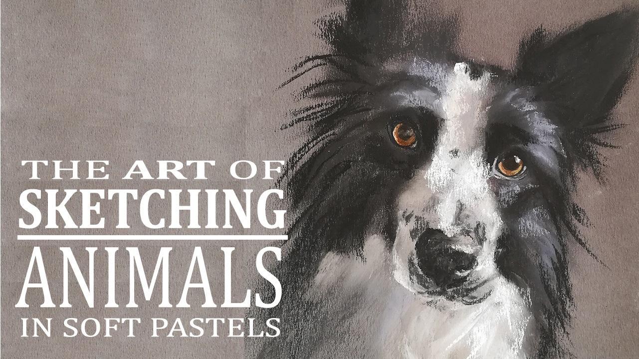 Sketching Animals in Soft Pastels | Coco - image 1 - student project