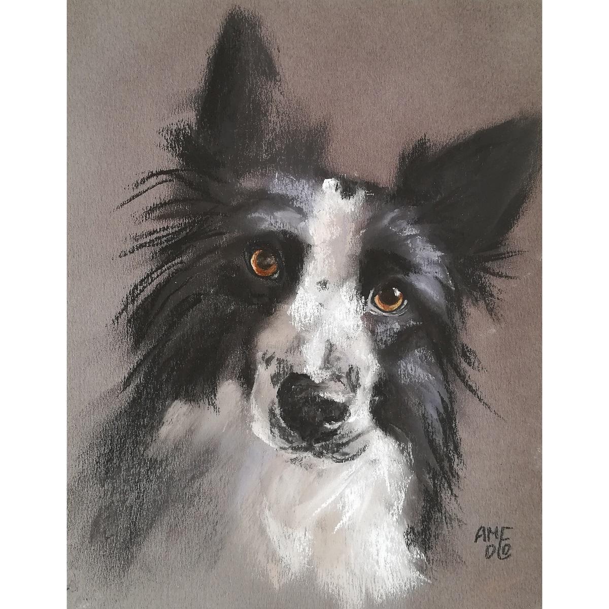 Sketching Animals in Soft Pastels | Coco - image 2 - student project