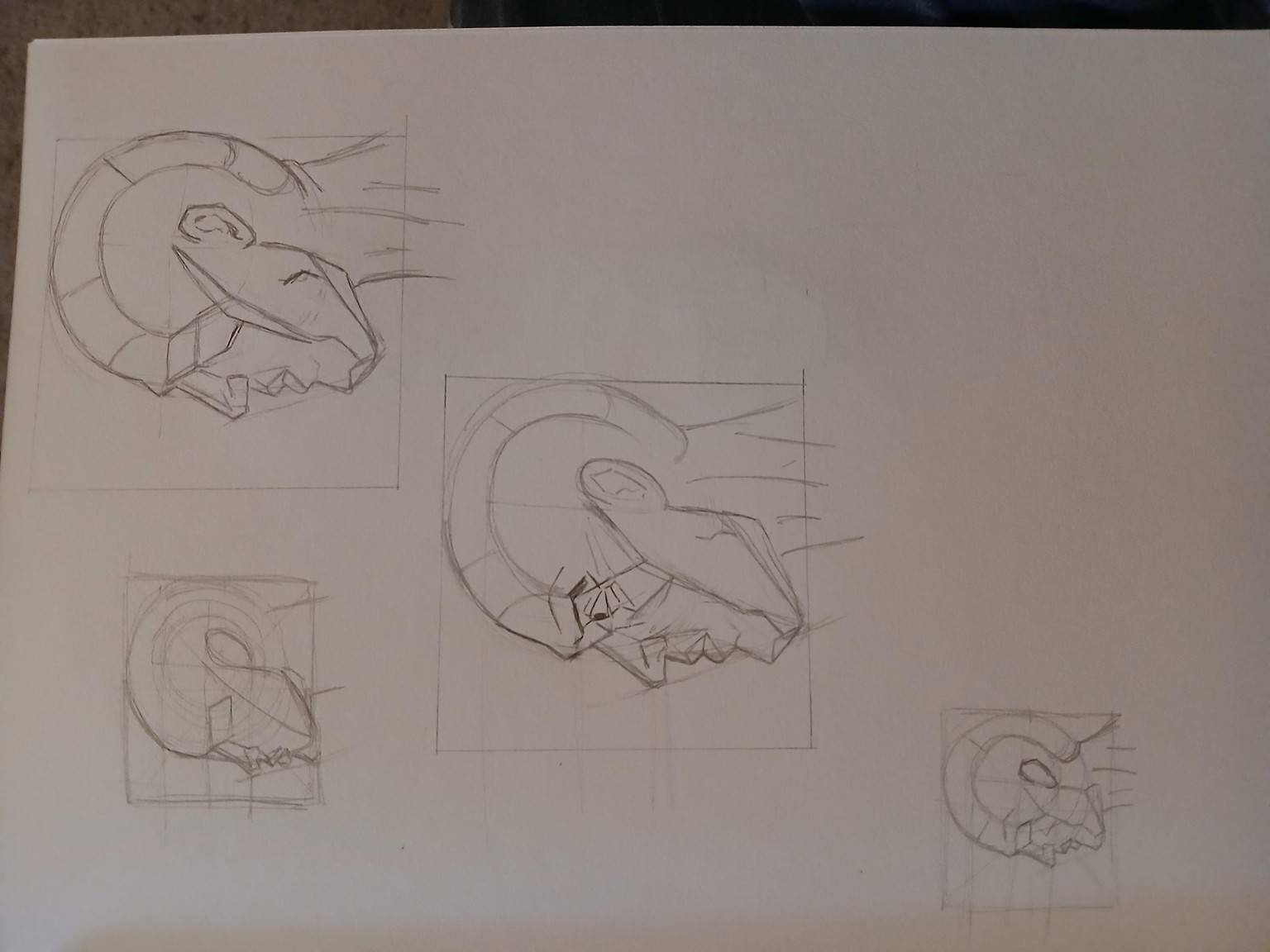 Drawing the plans of the head - image 1 - student project