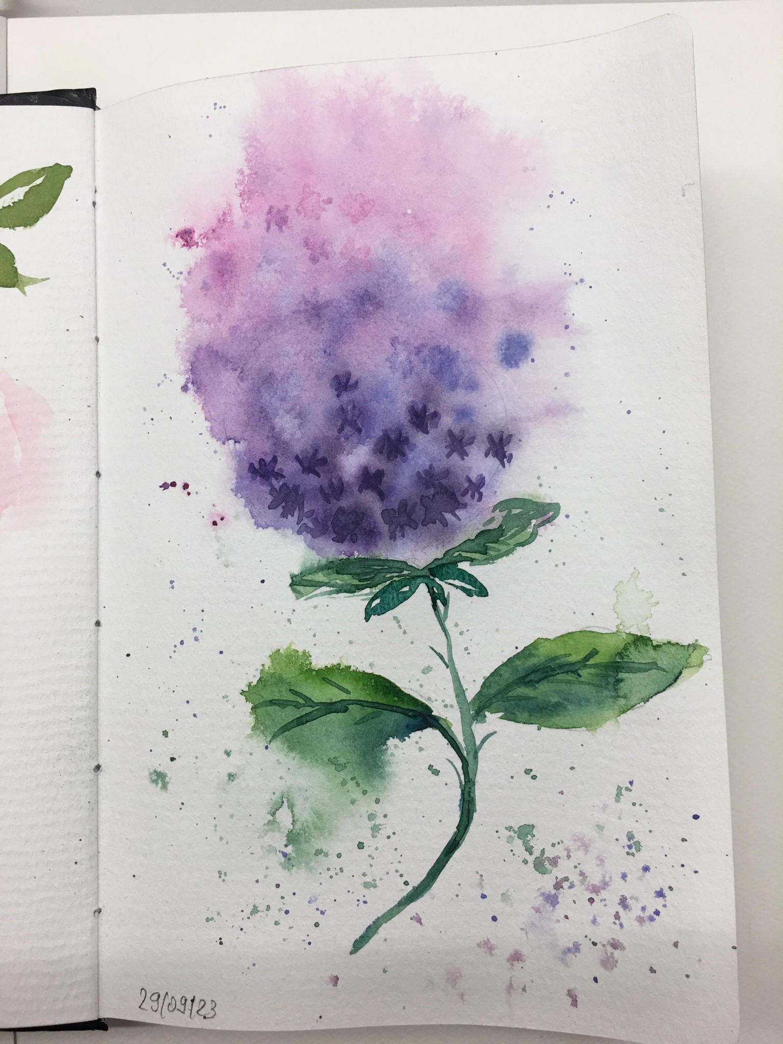 Watercolor Hydrangea Wet-on-Wet and Wet-on-Damp - image 1 - student project