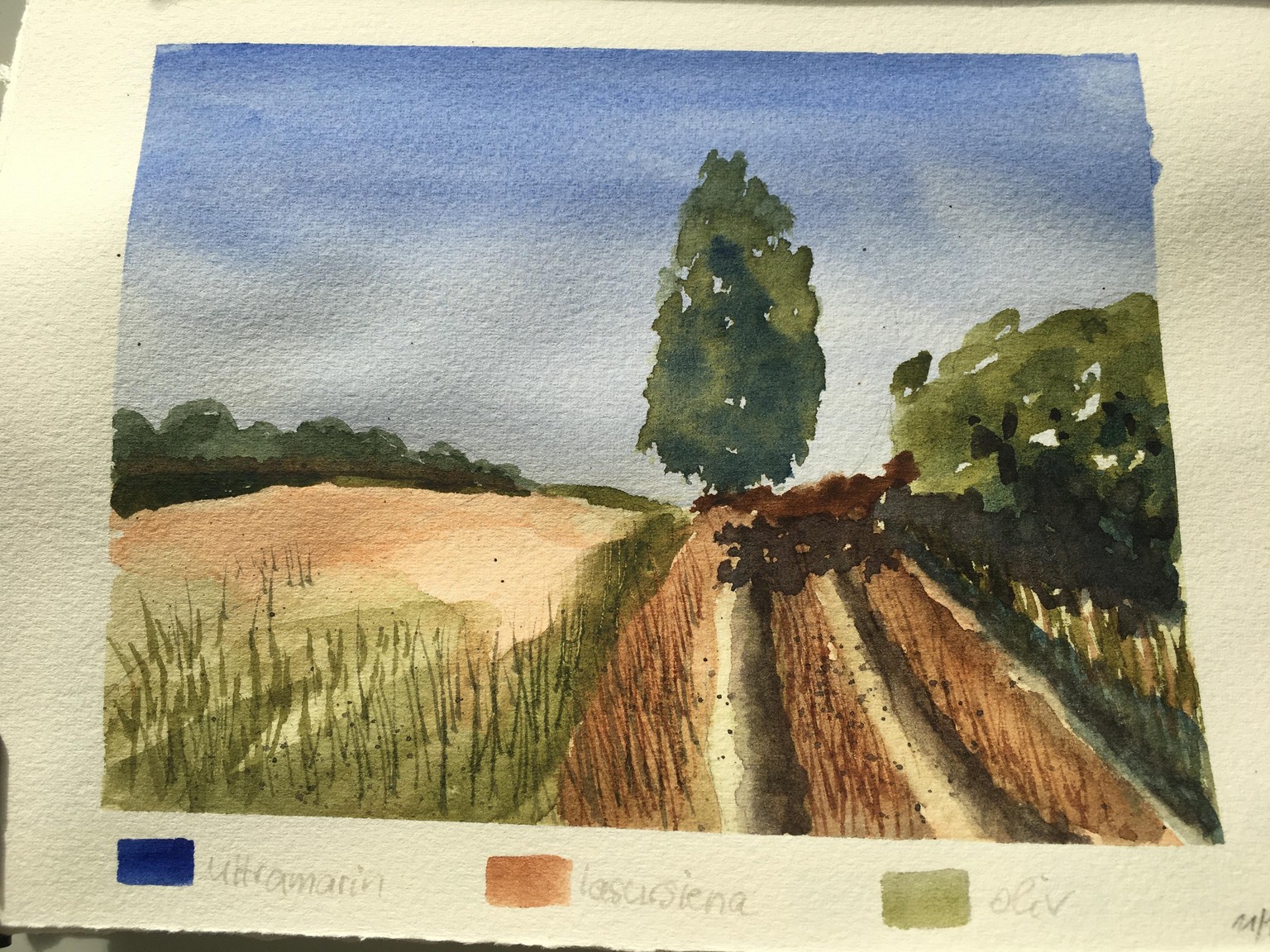 Summer landscape - image 2 - student project