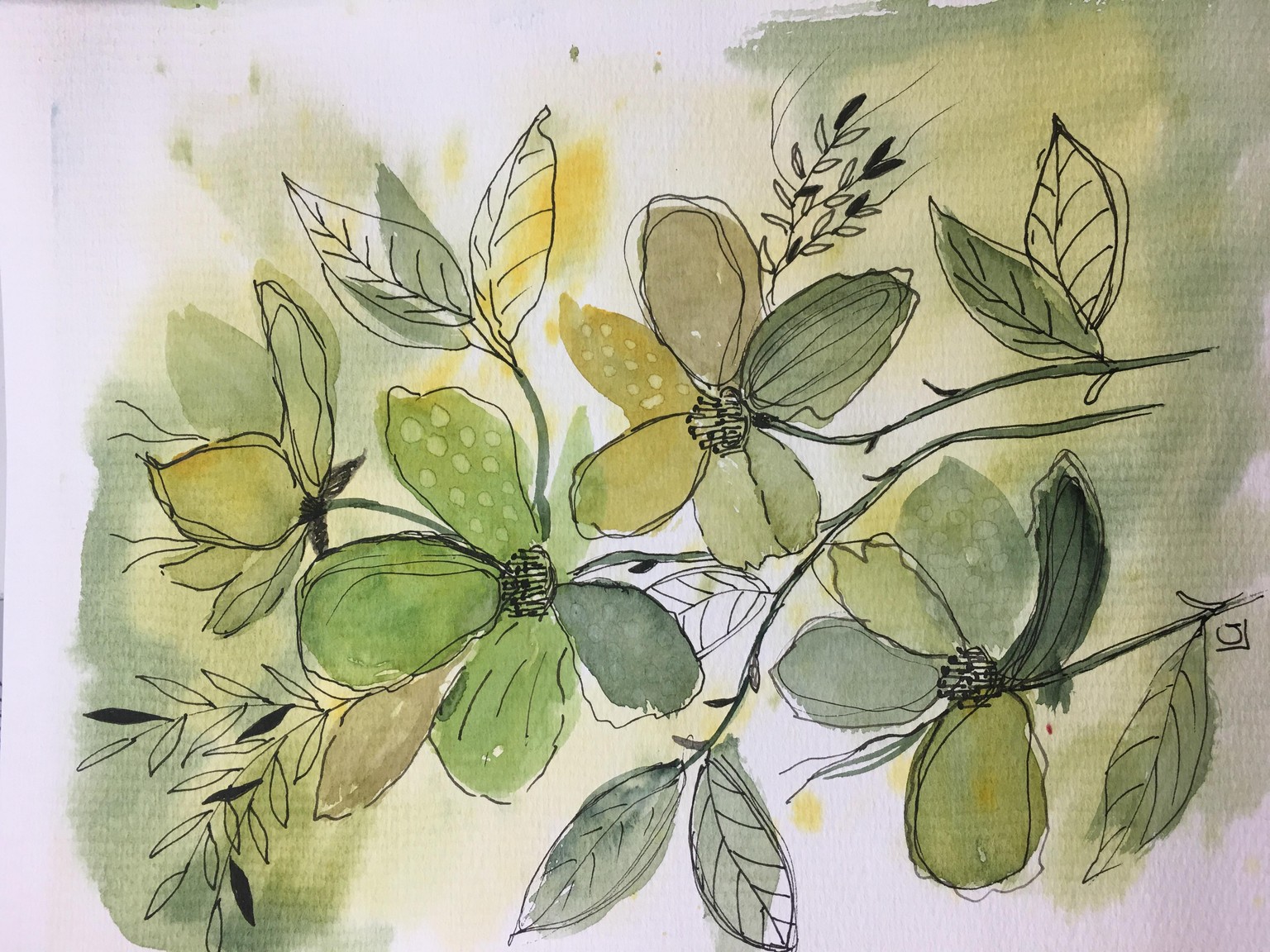 Explore green in watercolor - image 1 - student project