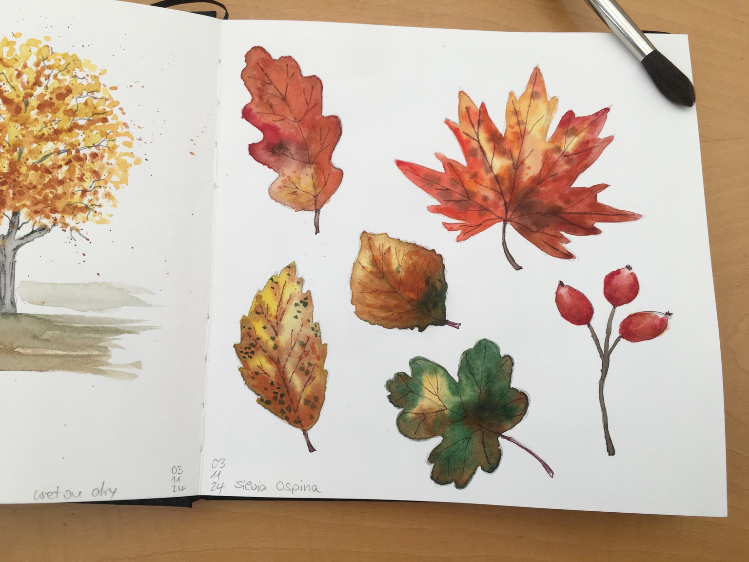 Autumn Leaves - image 1 - student project
