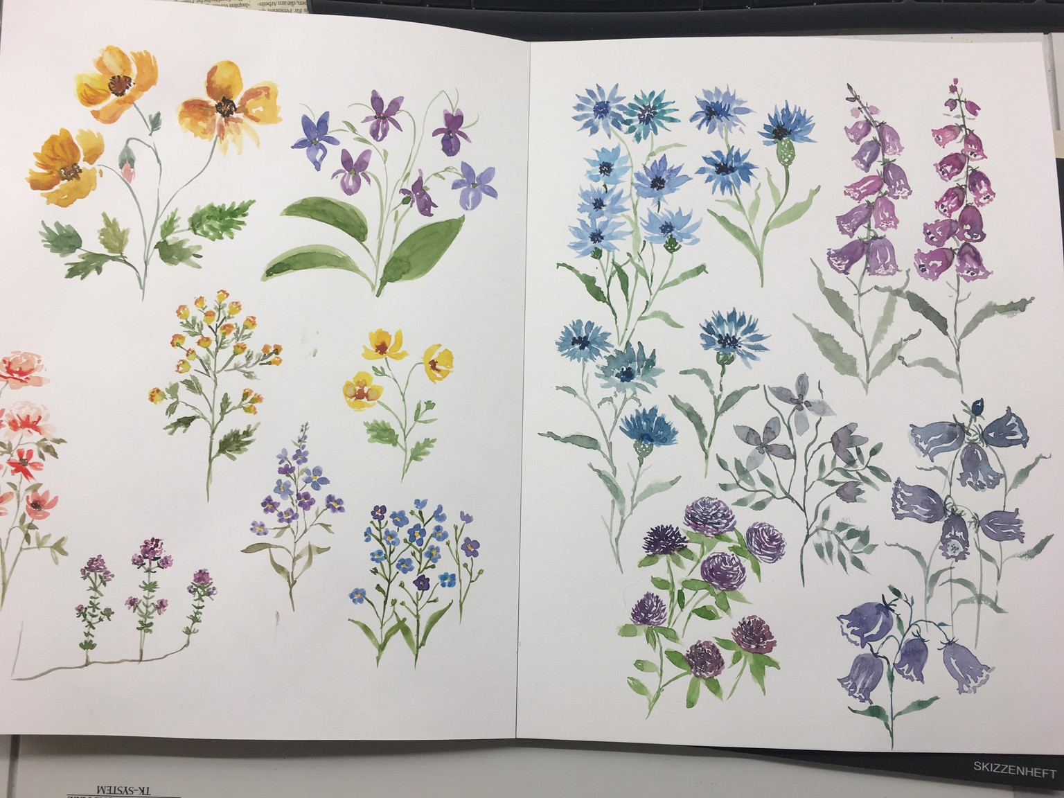 Loose Watercolor wildflowers - image 1 - student project