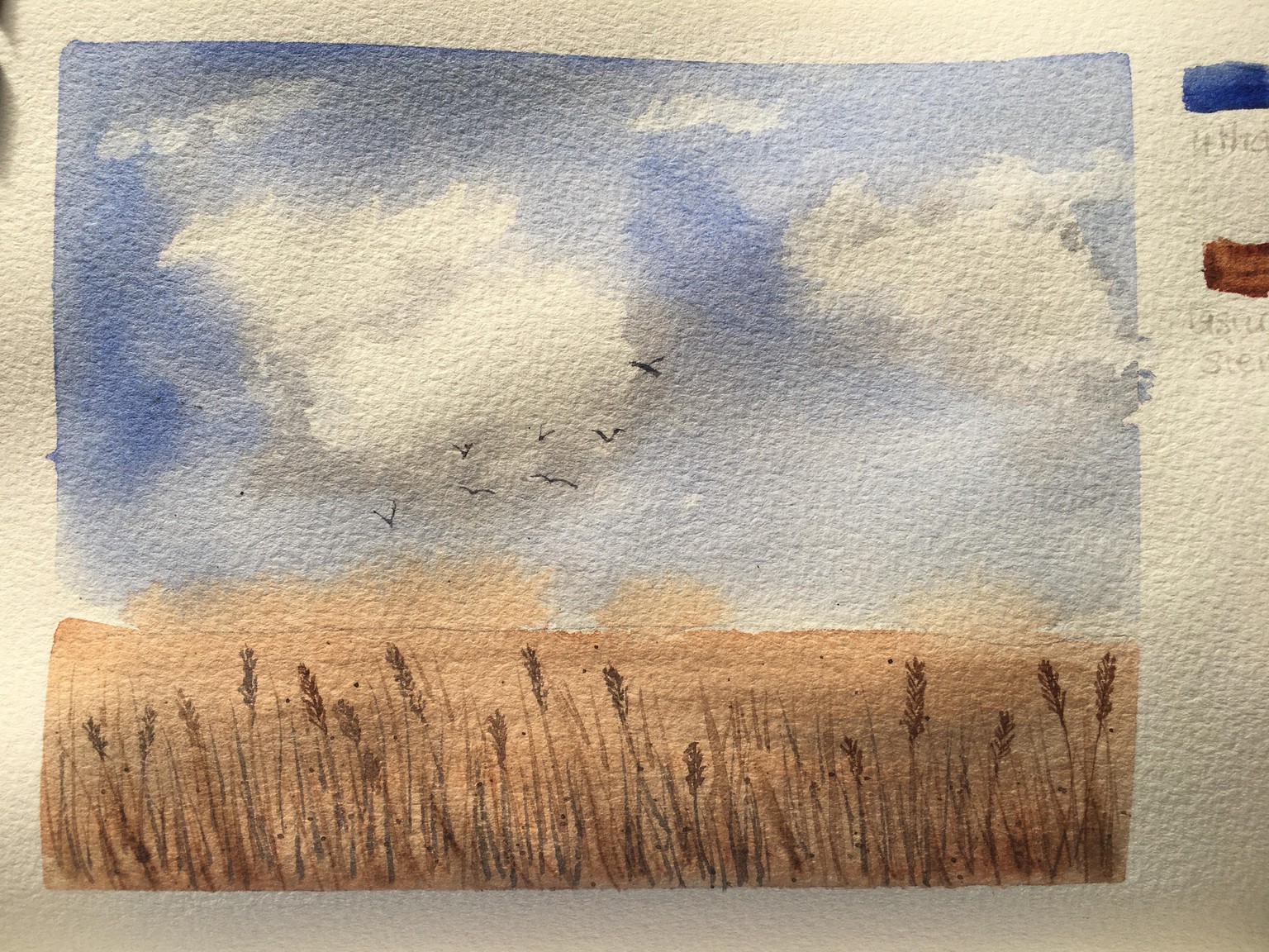 Summer landscape - image 1 - student project