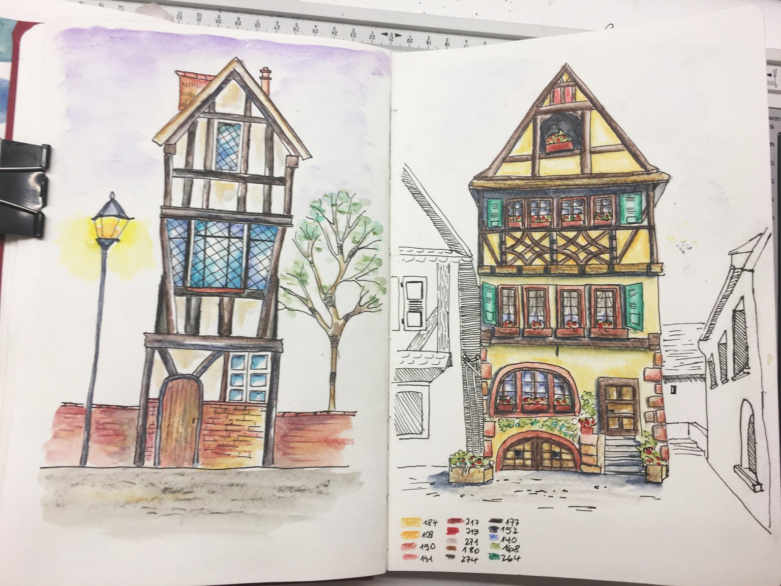 Watercolor pencils for Beginners - image 2 - student project