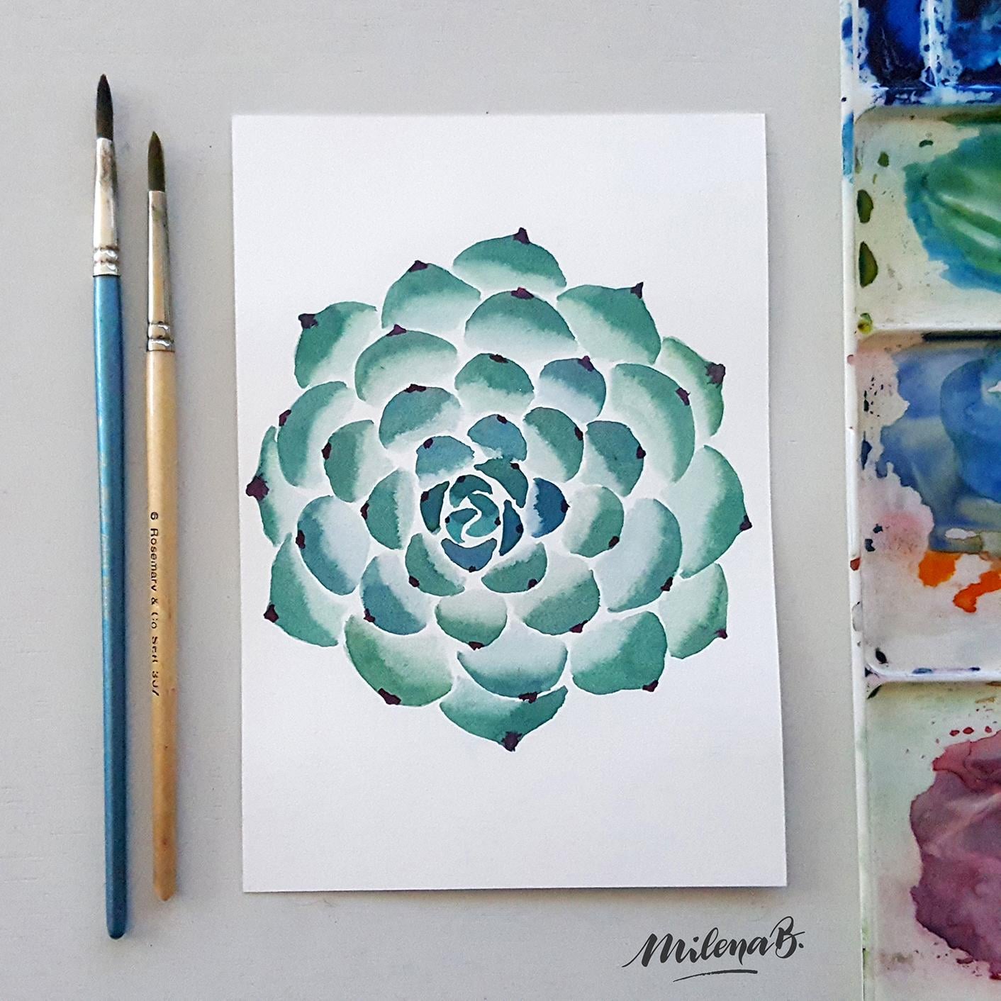 Lovely cacti & succulents - image 2 - student project