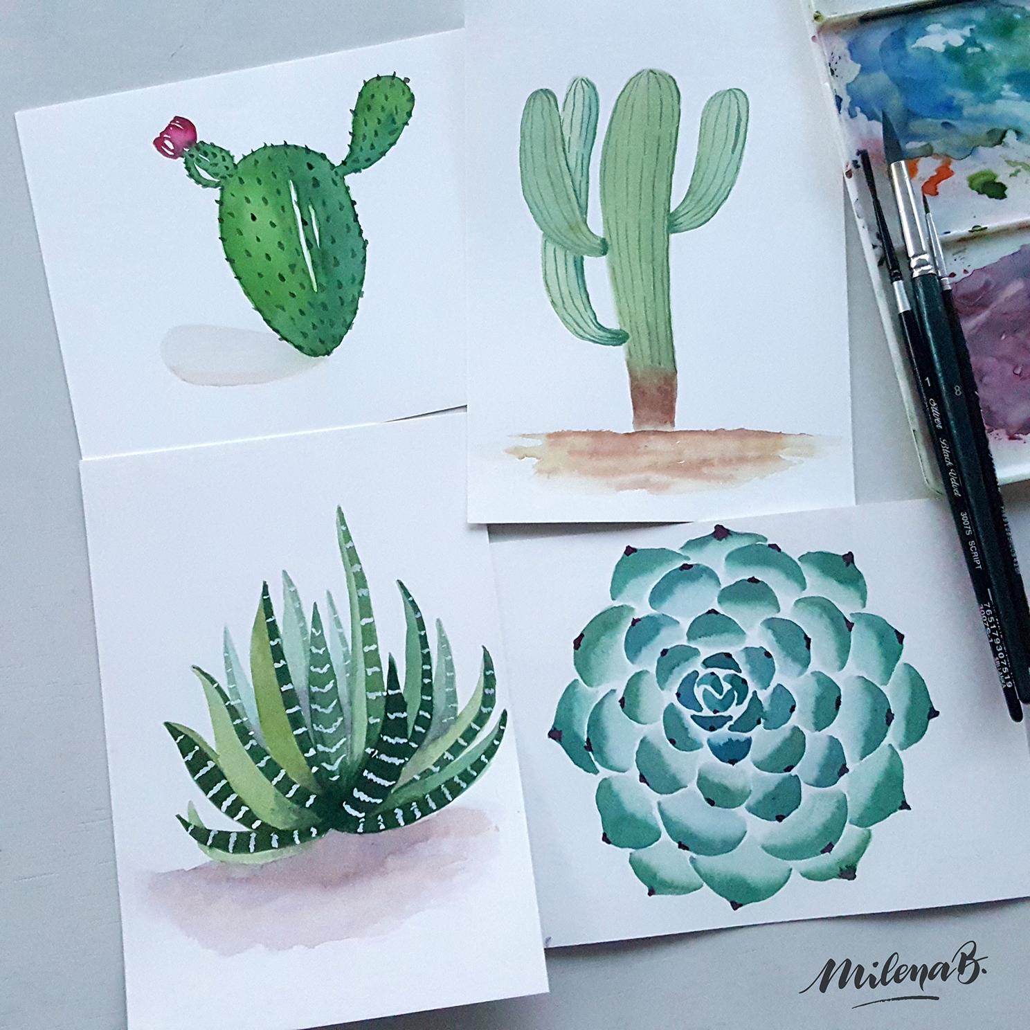 Lovely cacti & succulents - image 1 - student project