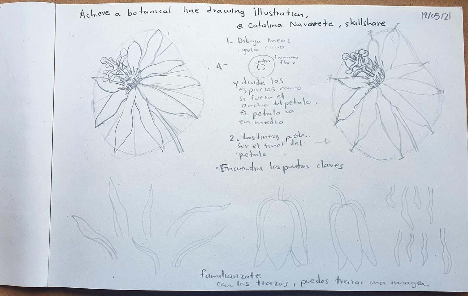 Draw what you see - image 1 - student project