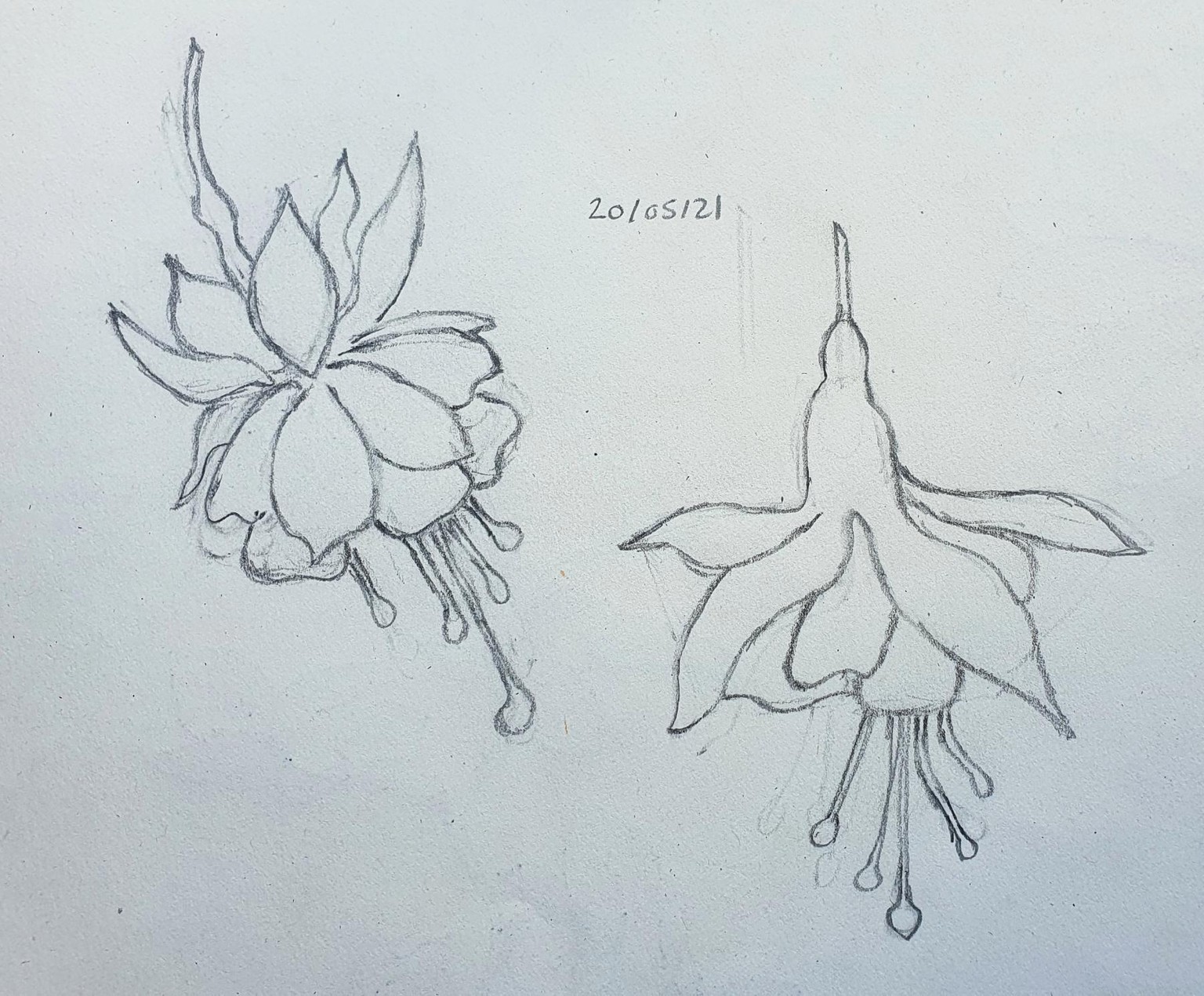 Draw what you see - image 3 - student project