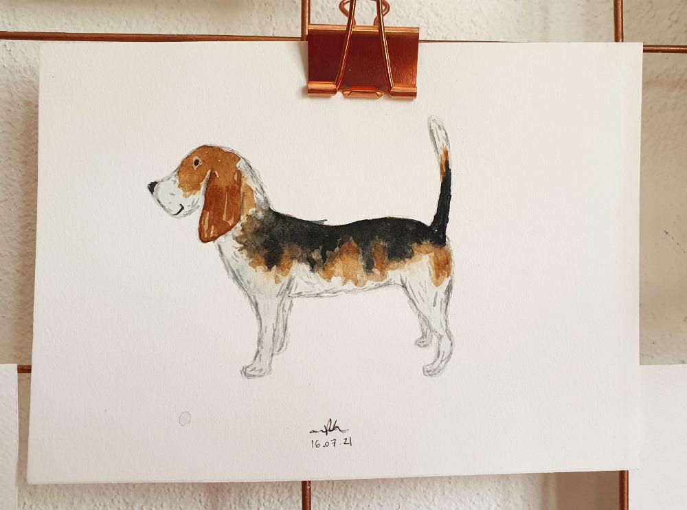 Owwww a puppie!! - image 1 - student project