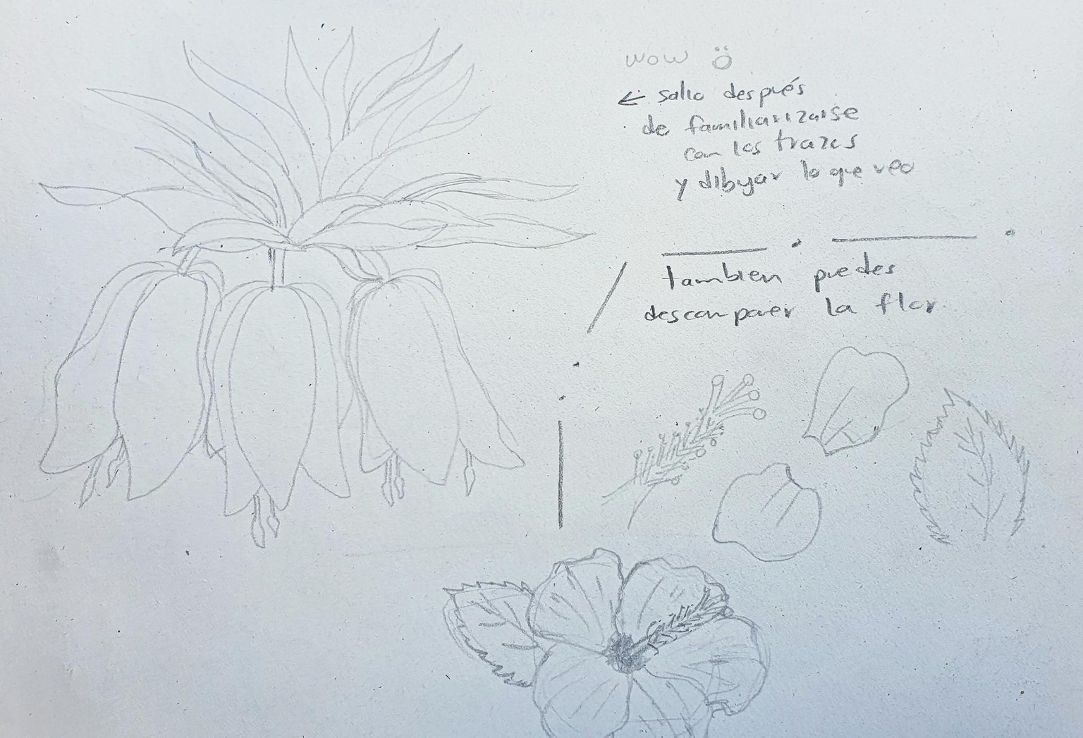 Draw what you see - image 2 - student project
