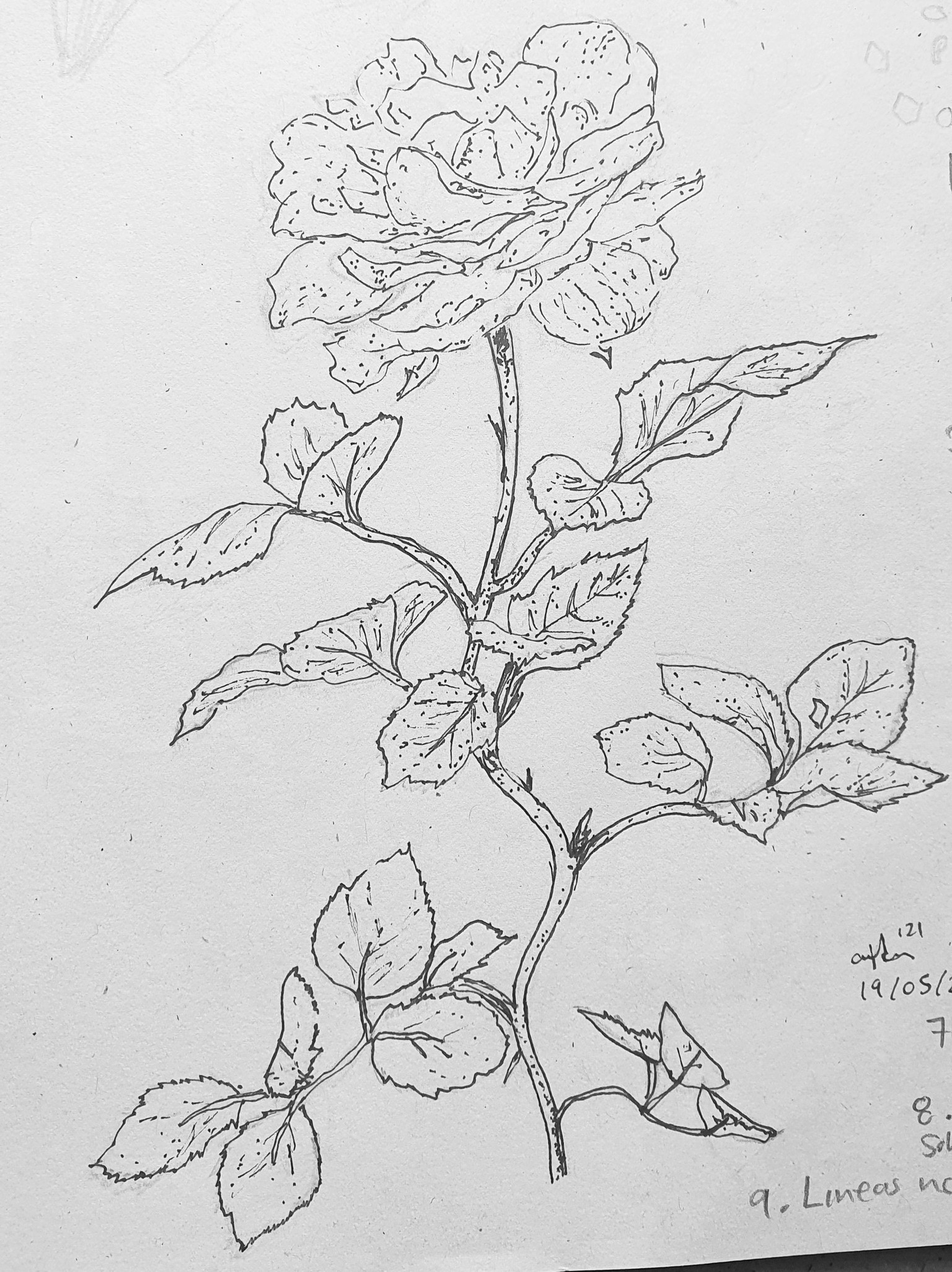 Draw what you see - image 8 - student project
