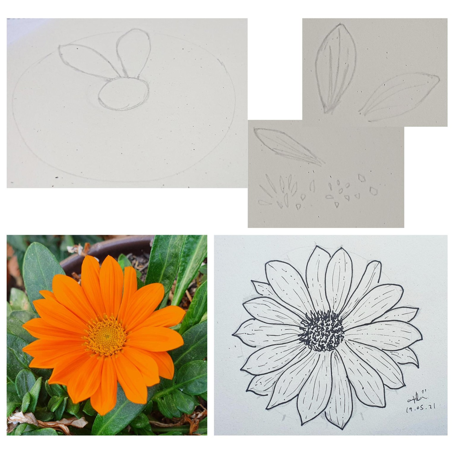 Draw what you see - image 4 - student project