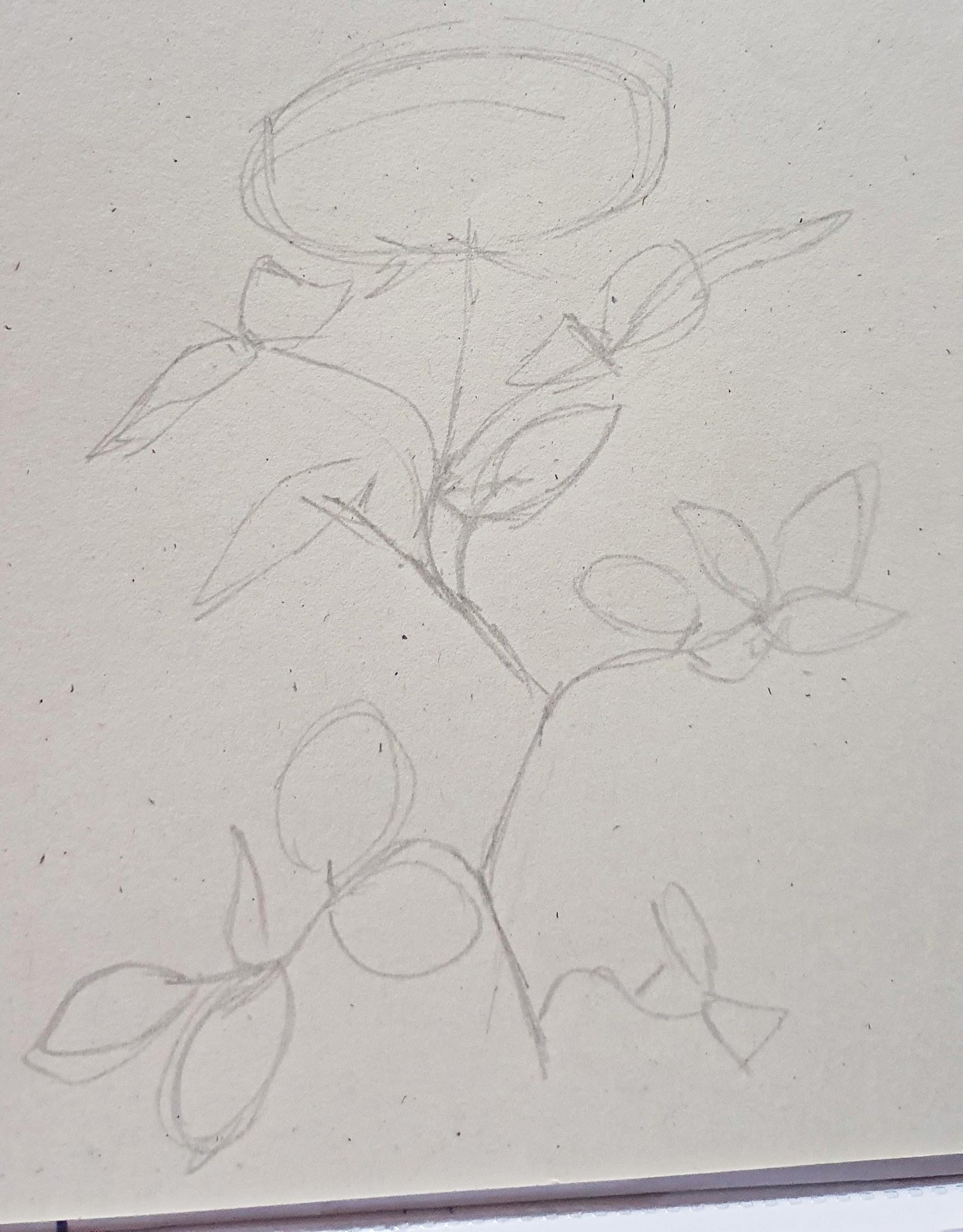 Draw what you see - image 6 - student project