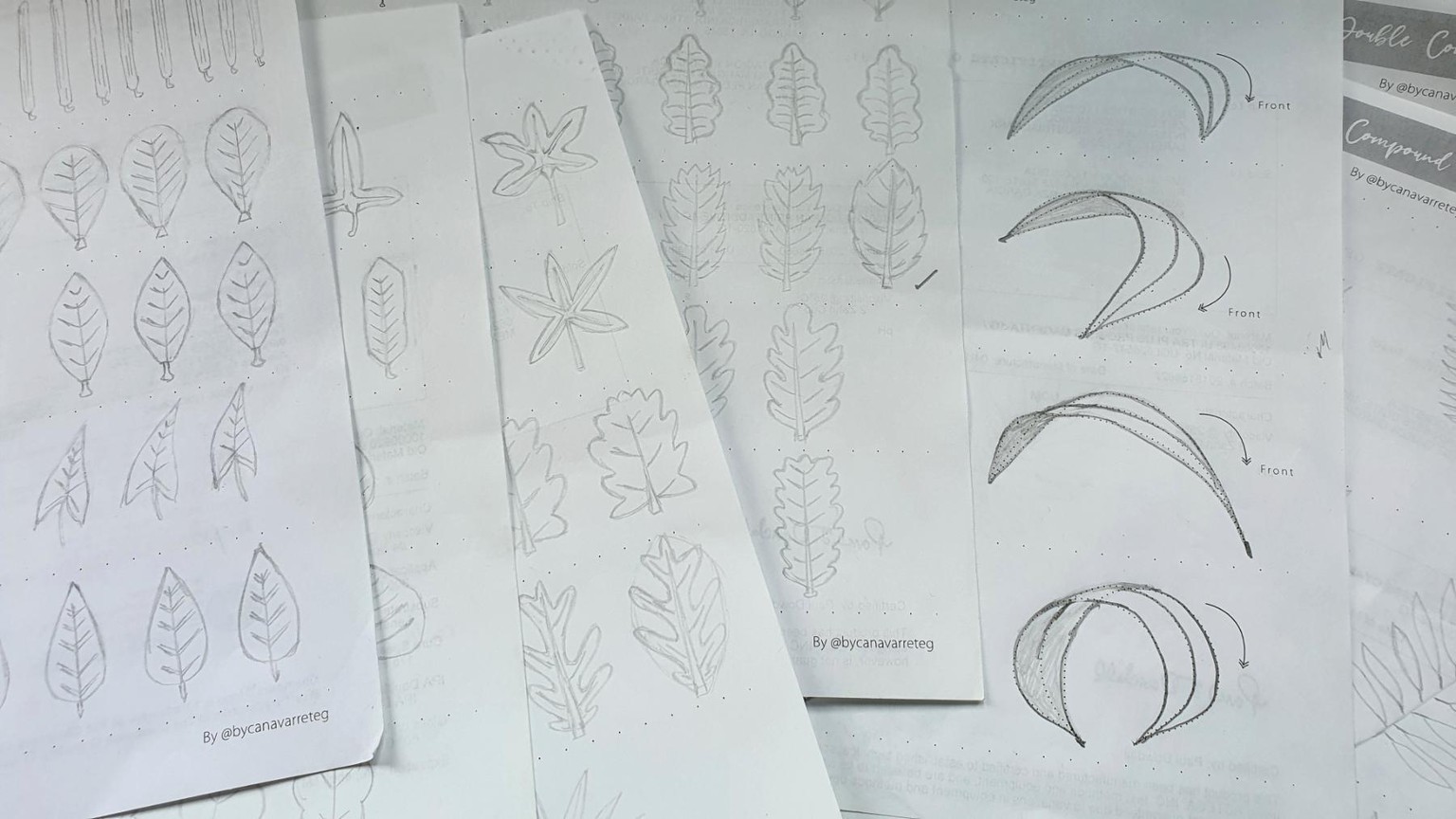 Bend, bend and bend more leaves - image 3 - student project