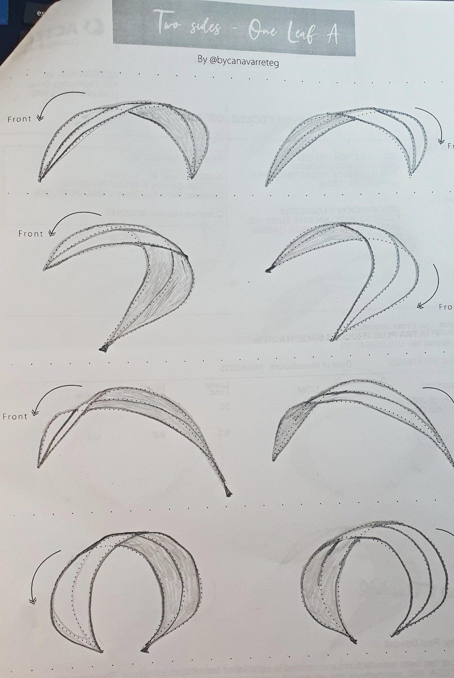 Bend, bend and bend more leaves - image 7 - student project