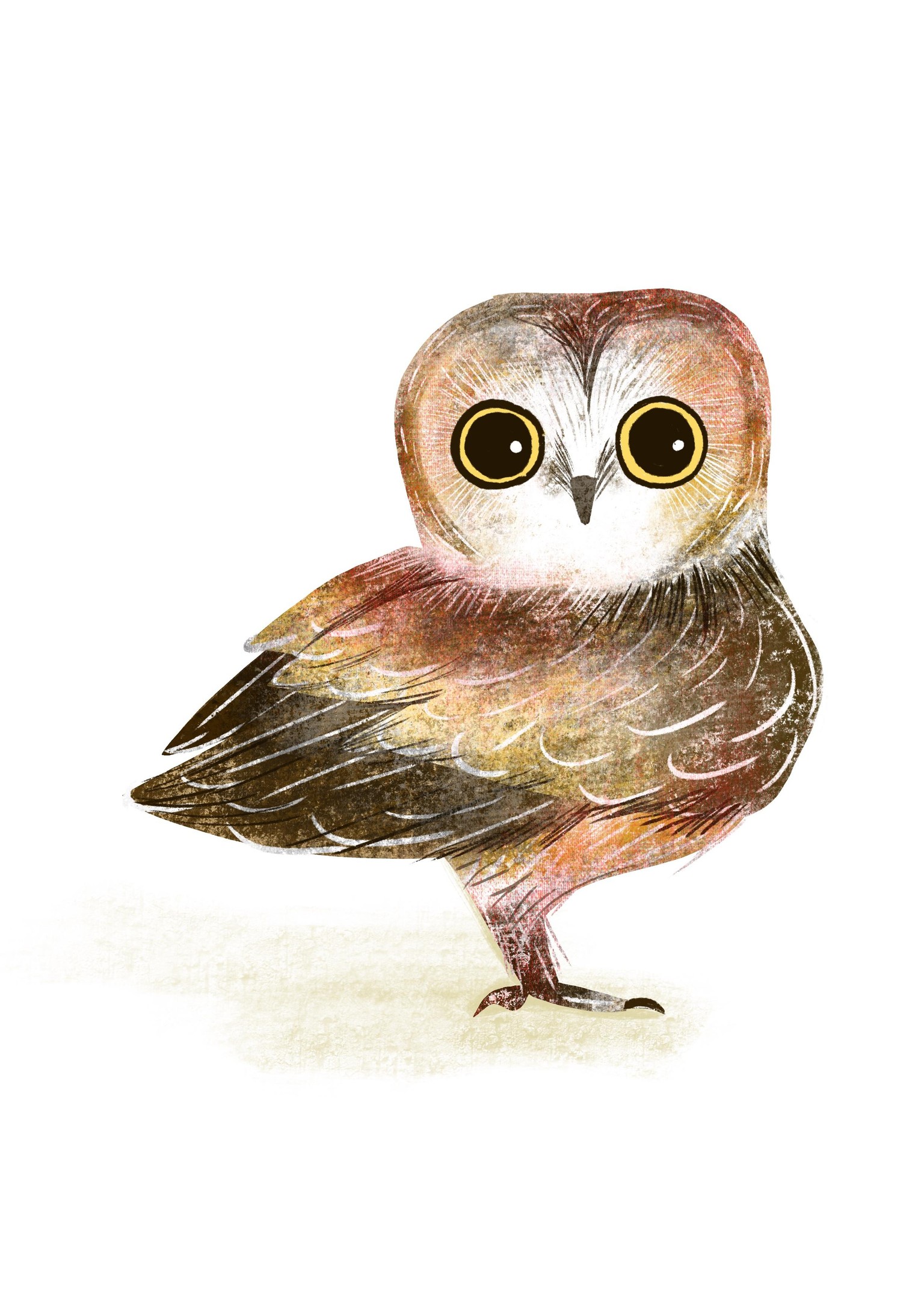 Owl - image 1 - student project