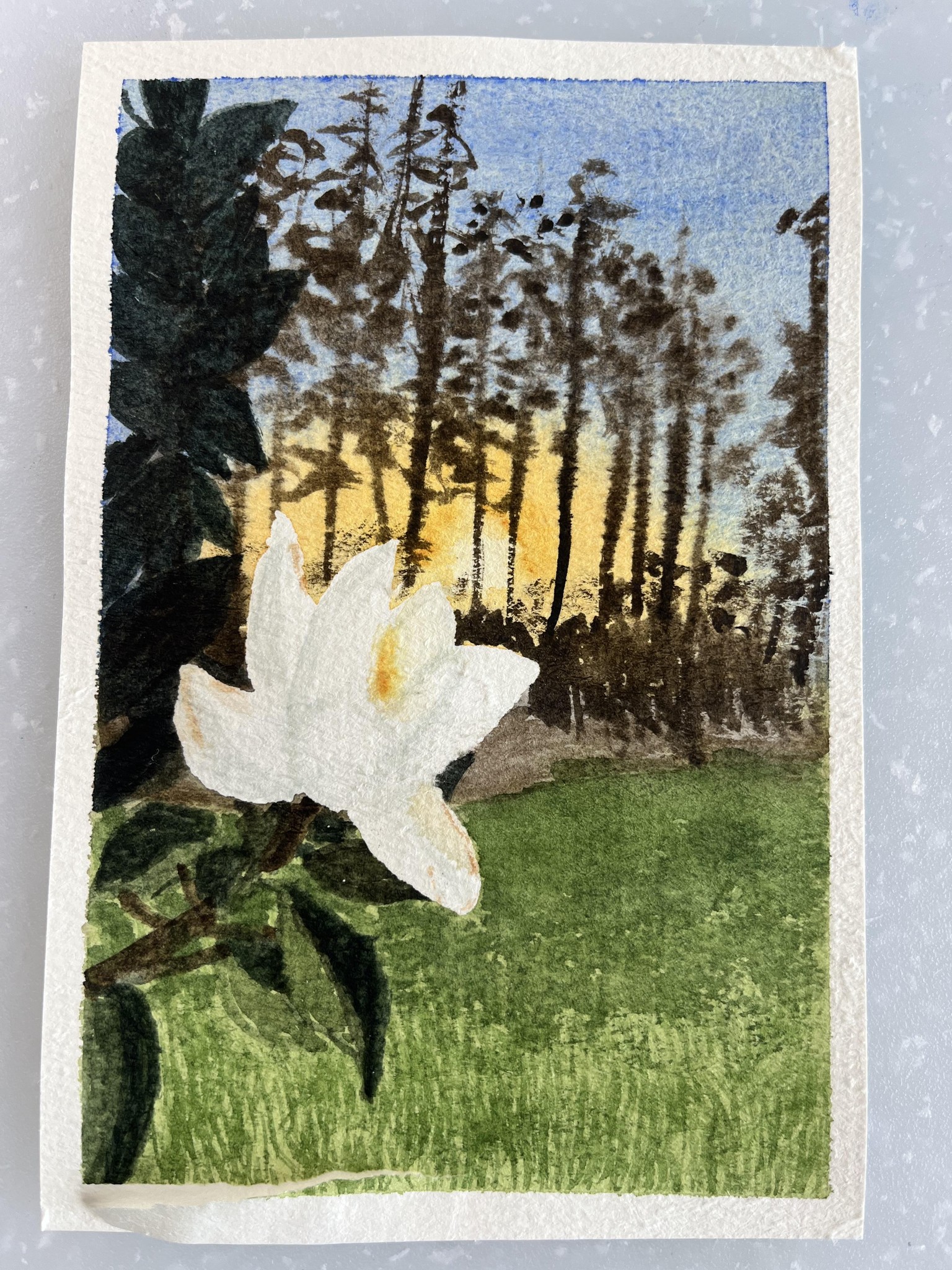 Glowing Sunsets - image 1 - student project