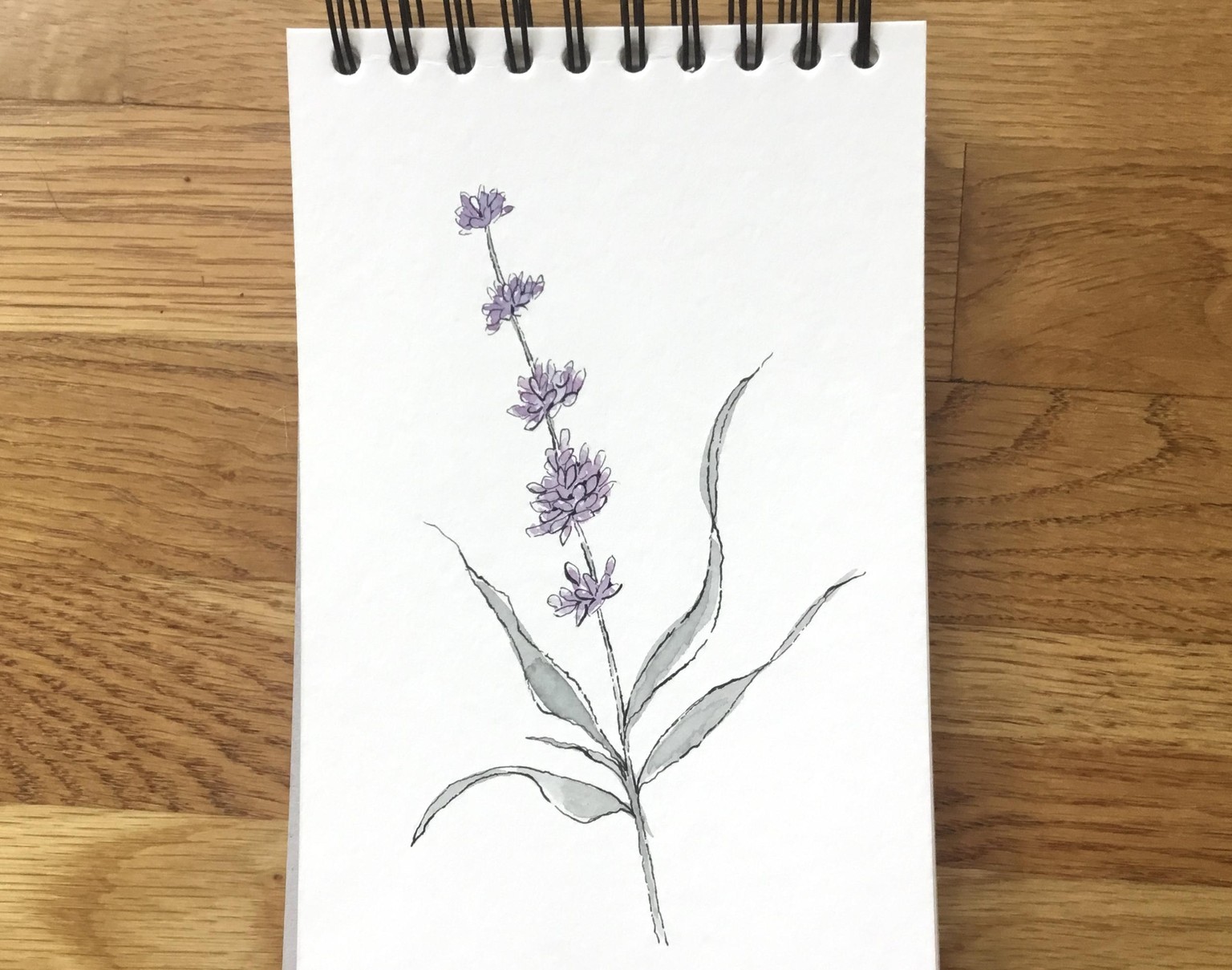 Line and Wash Florals - image 5 - student project