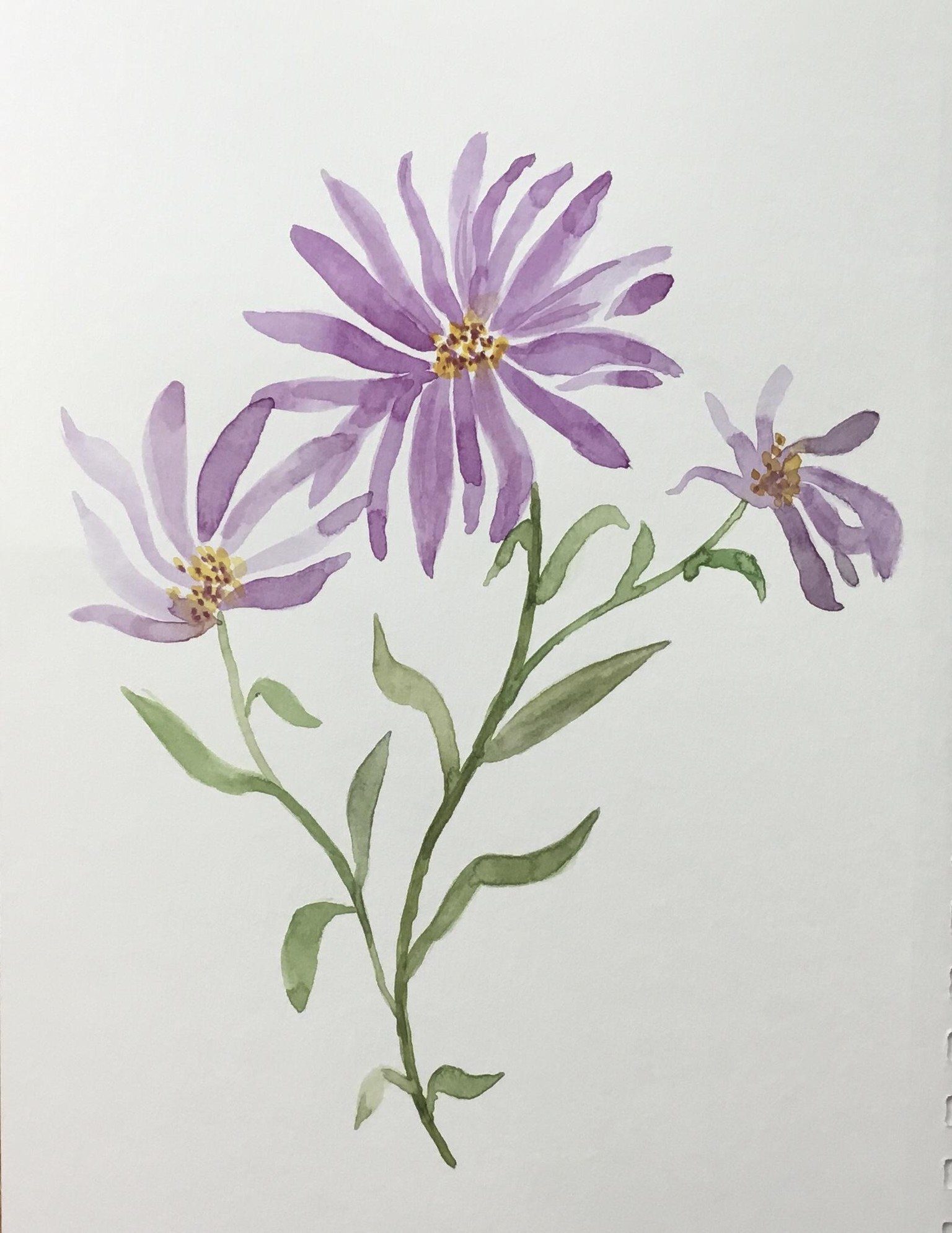 Abstract Flowers - image 2 - student project