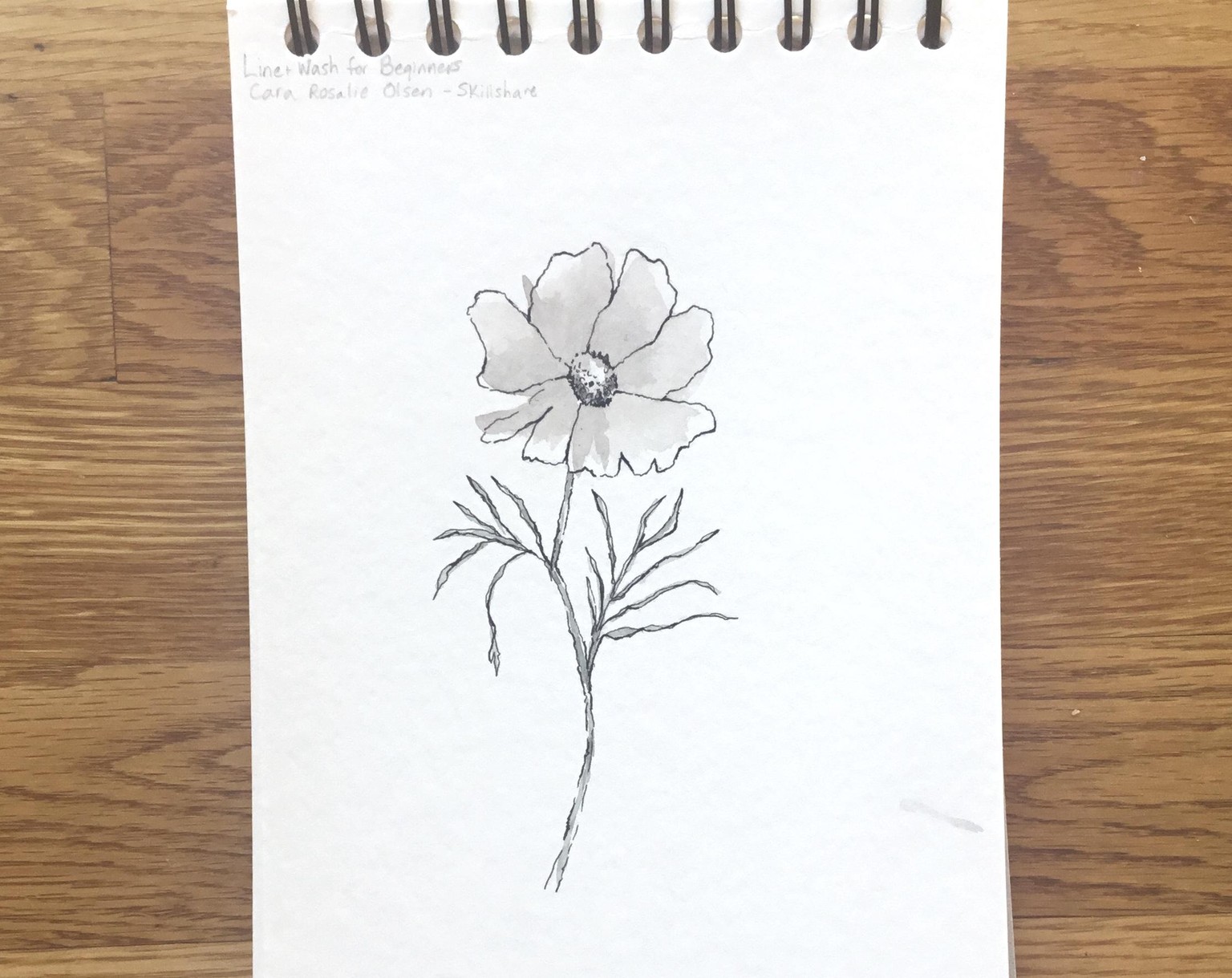 Line and Wash Florals - image 3 - student project