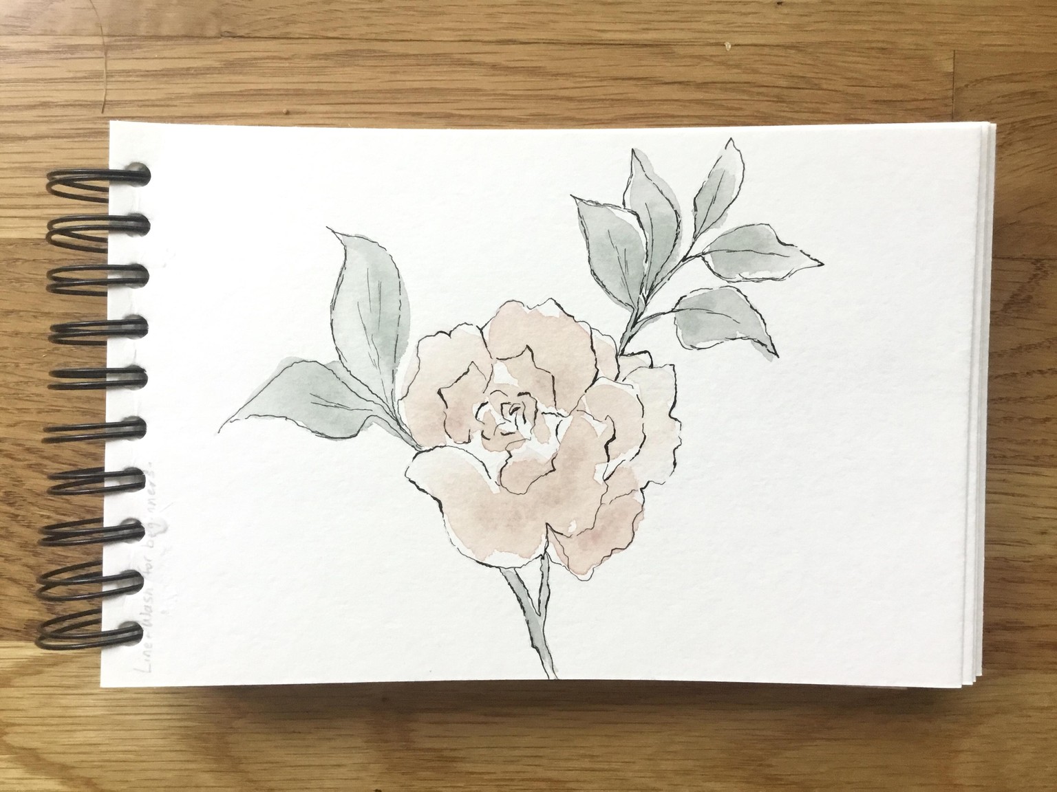 Line and Wash Florals - image 4 - student project