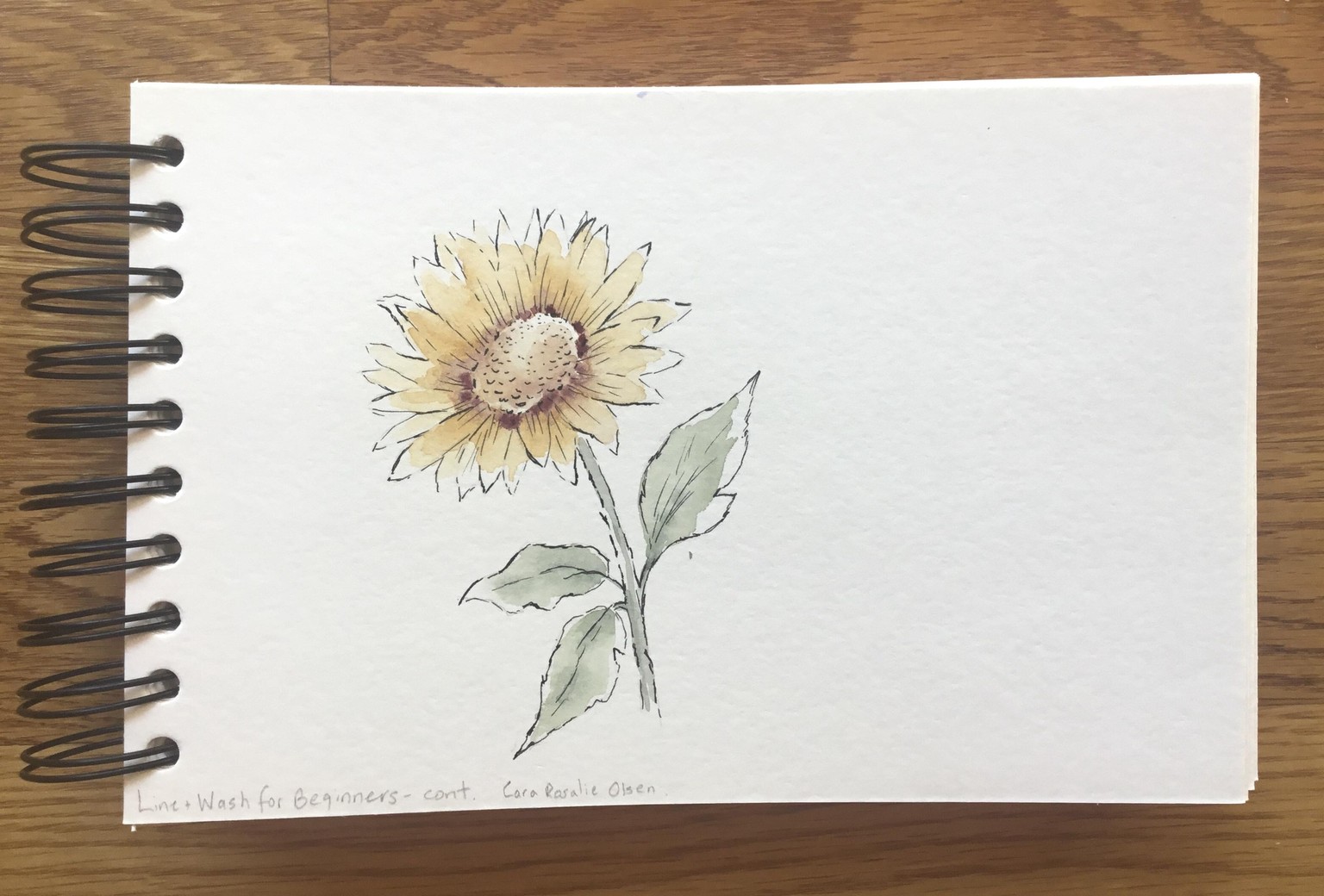 Line and Wash Florals - image 1 - student project