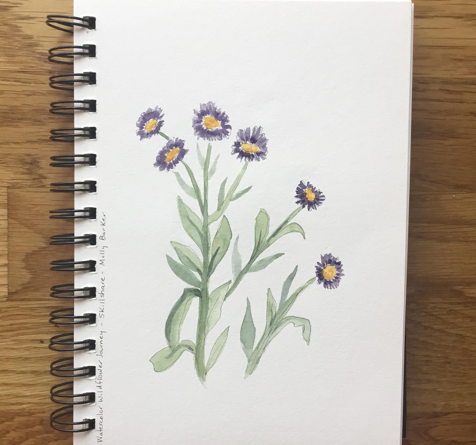 Watercolor Wildflowers - image 2 - student project